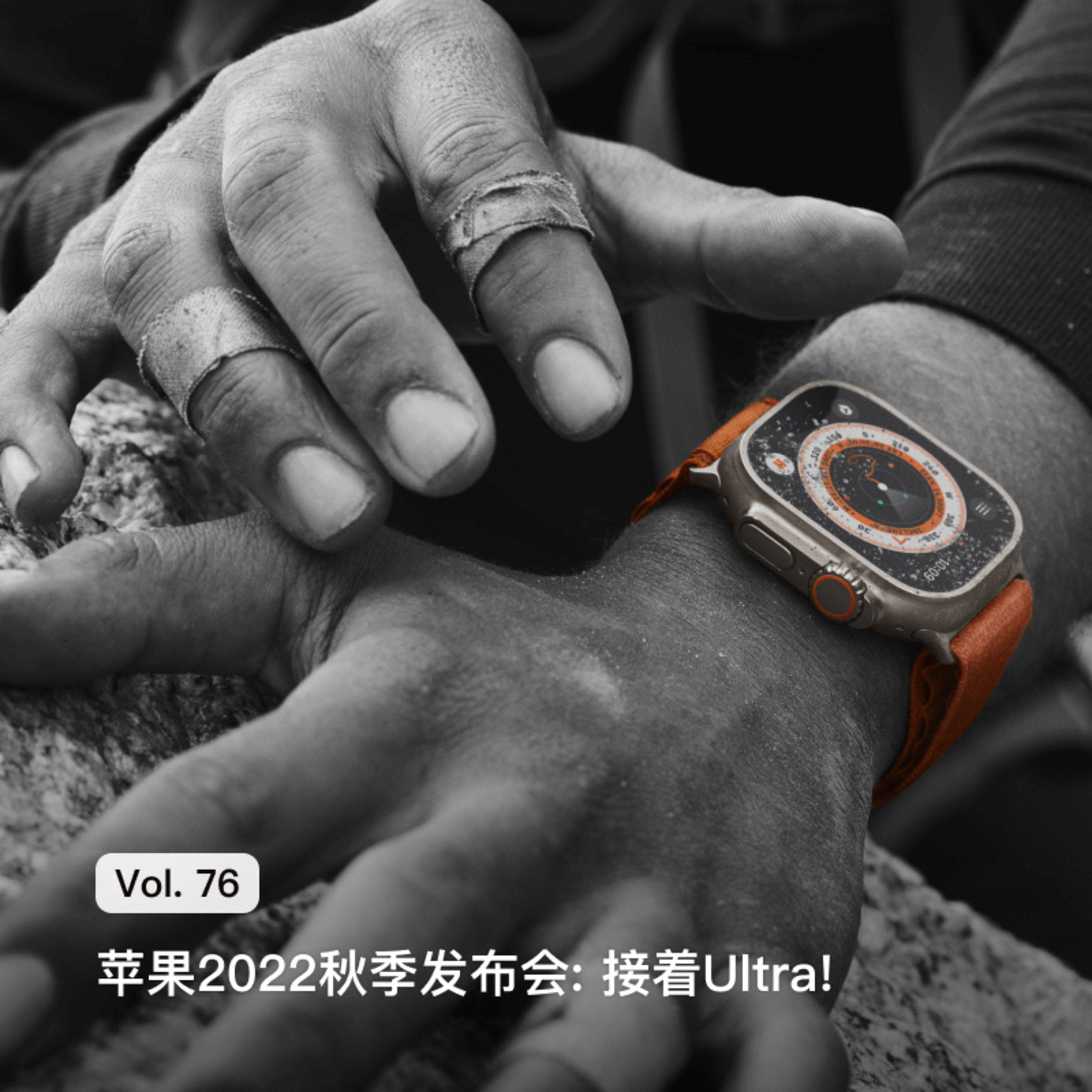 枫言枫语