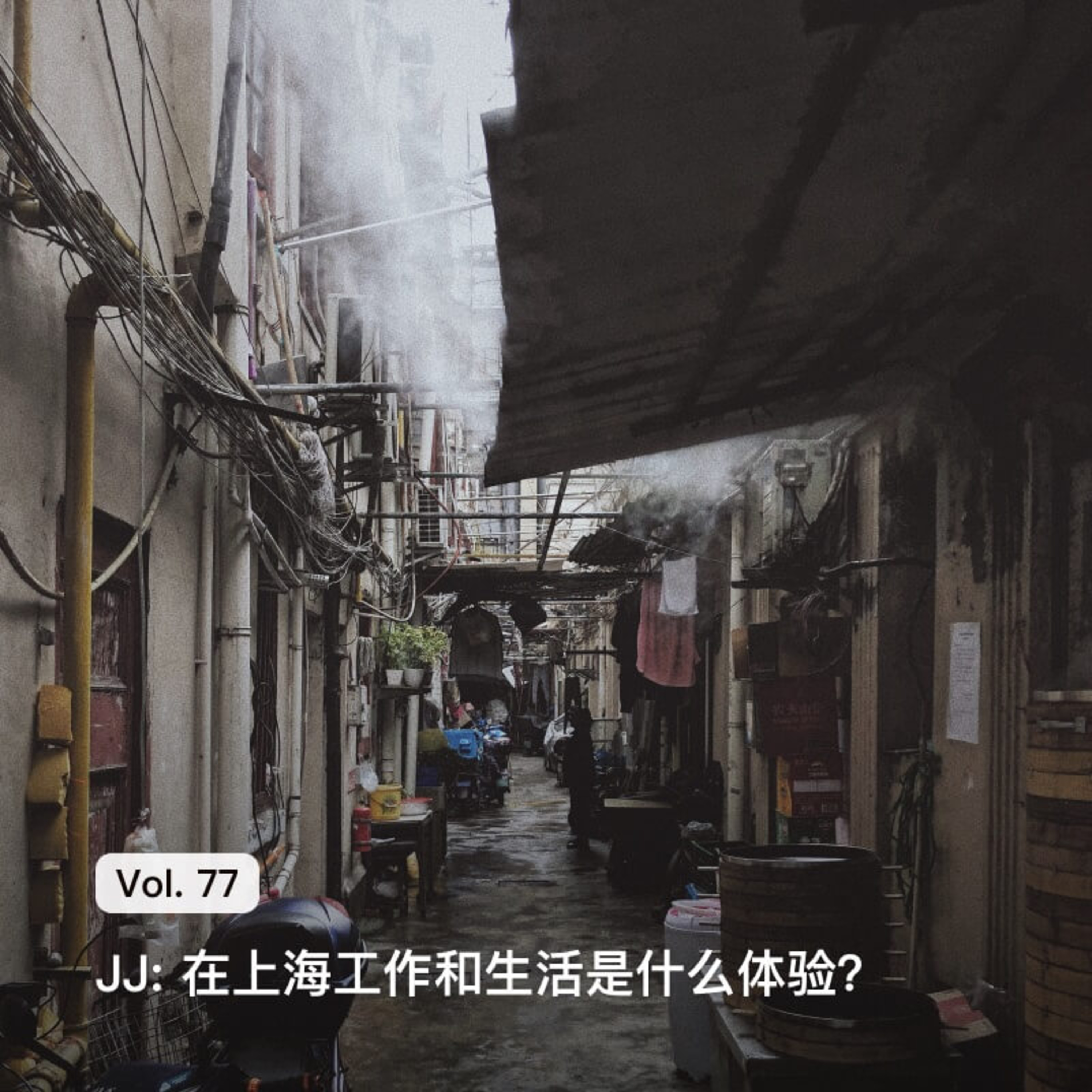 枫言枫语