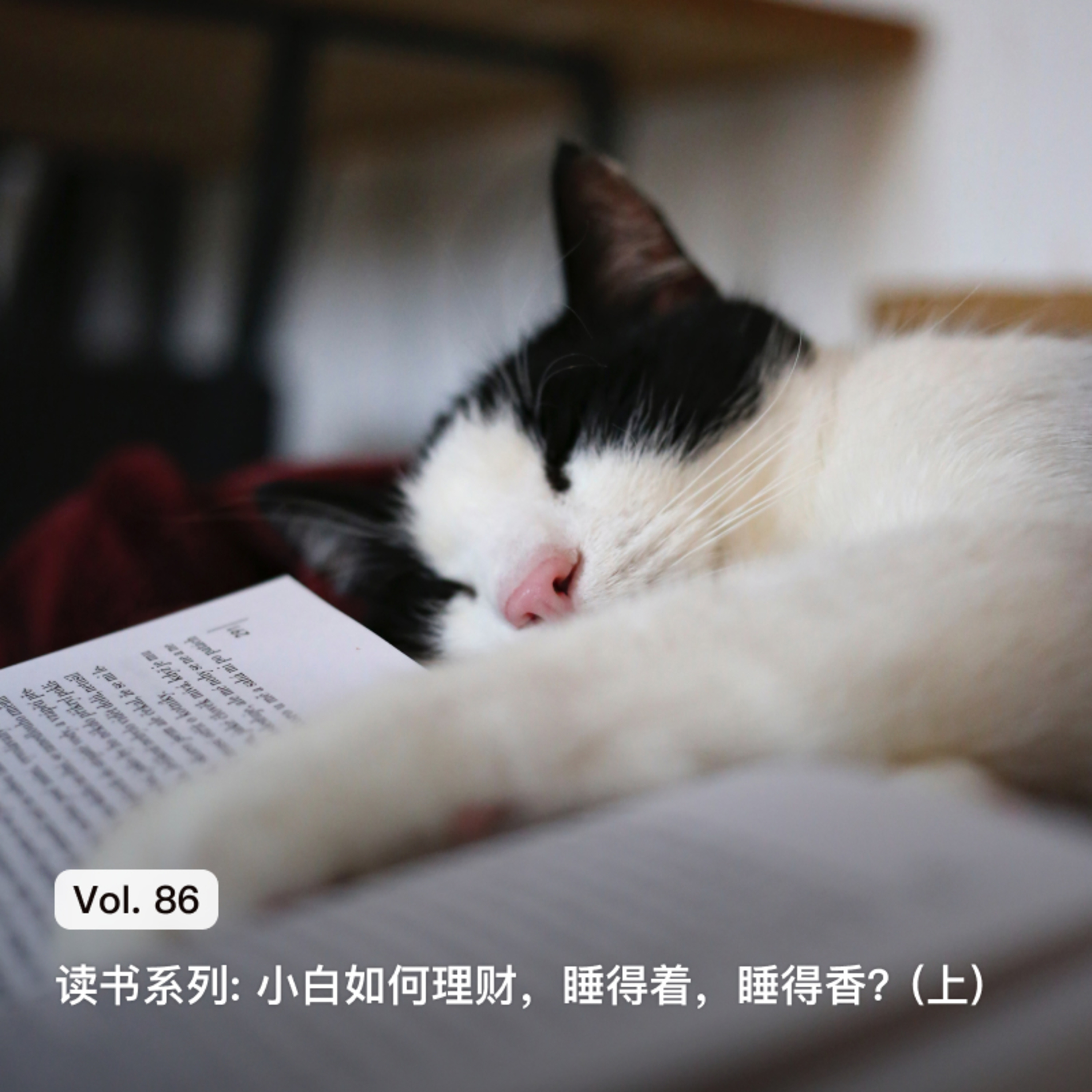 枫言枫语