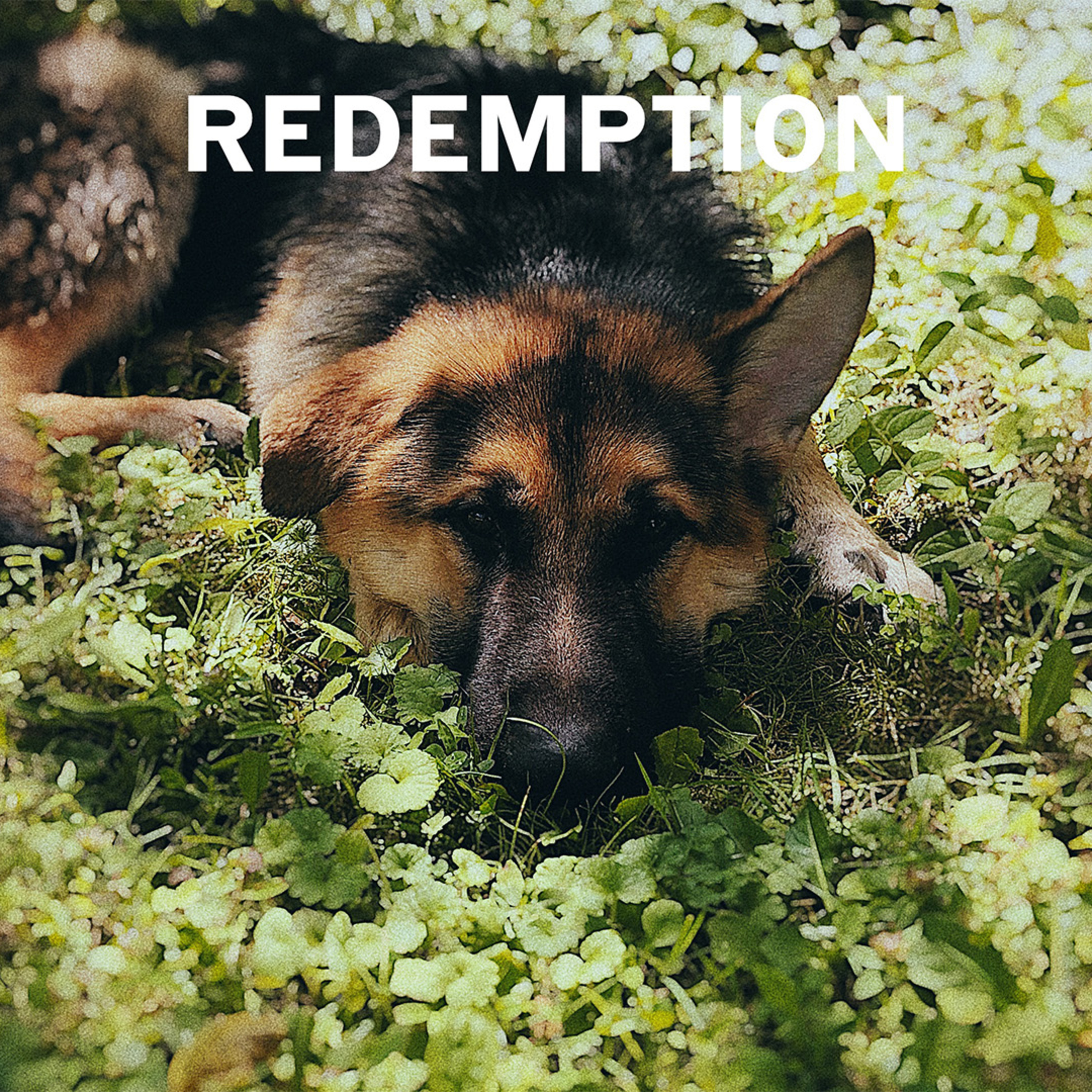 Redemption episode artwork