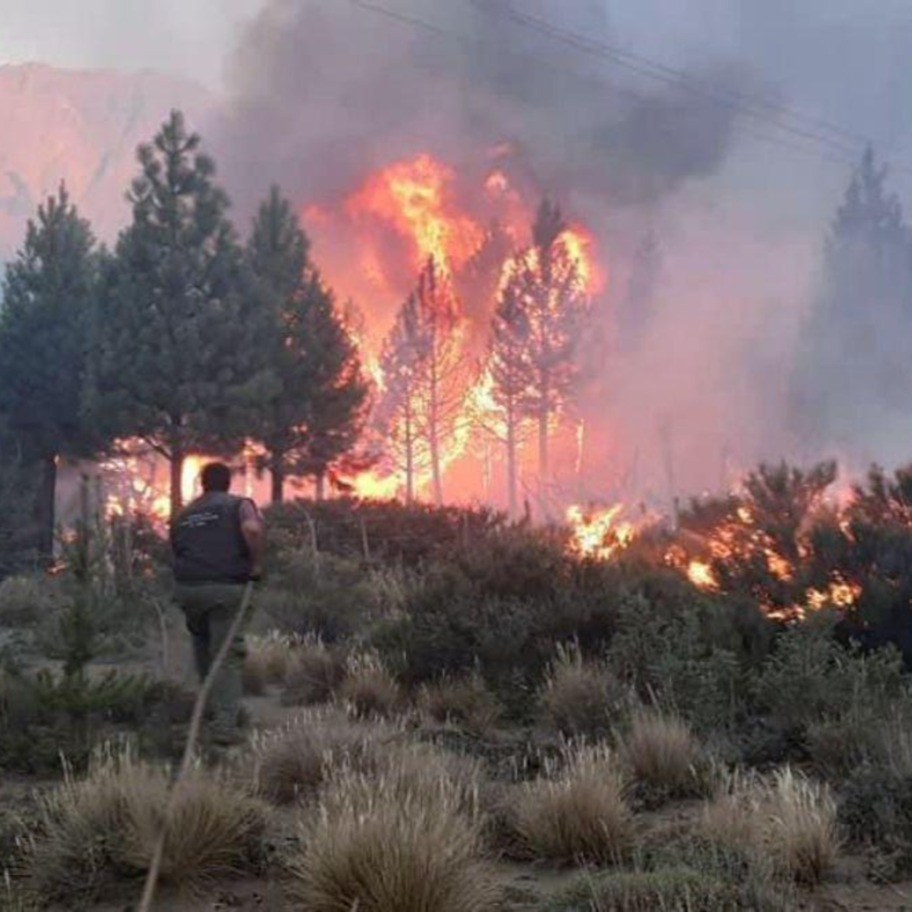 Portada de Al Toque Radio