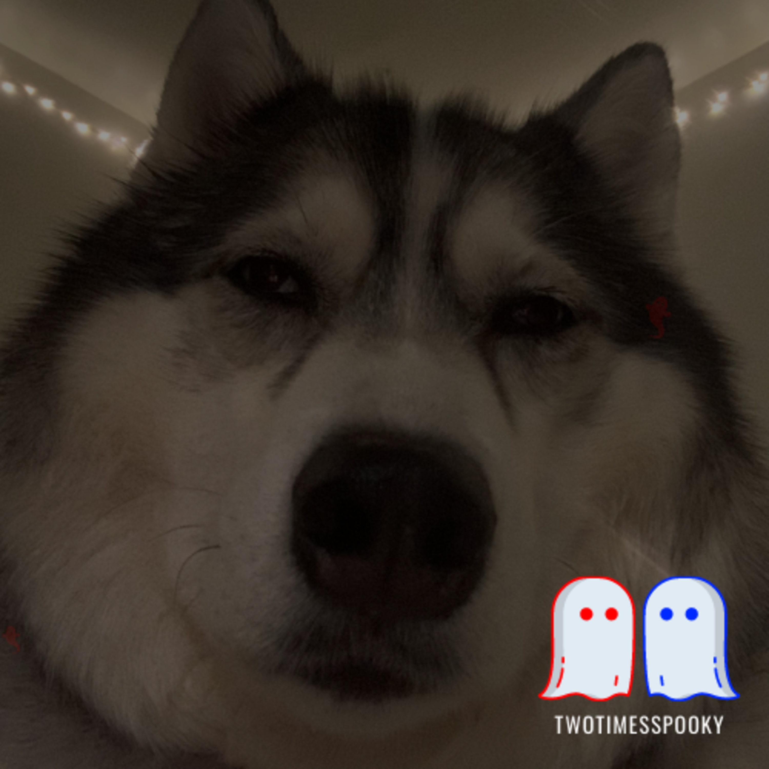 twotimesspooky