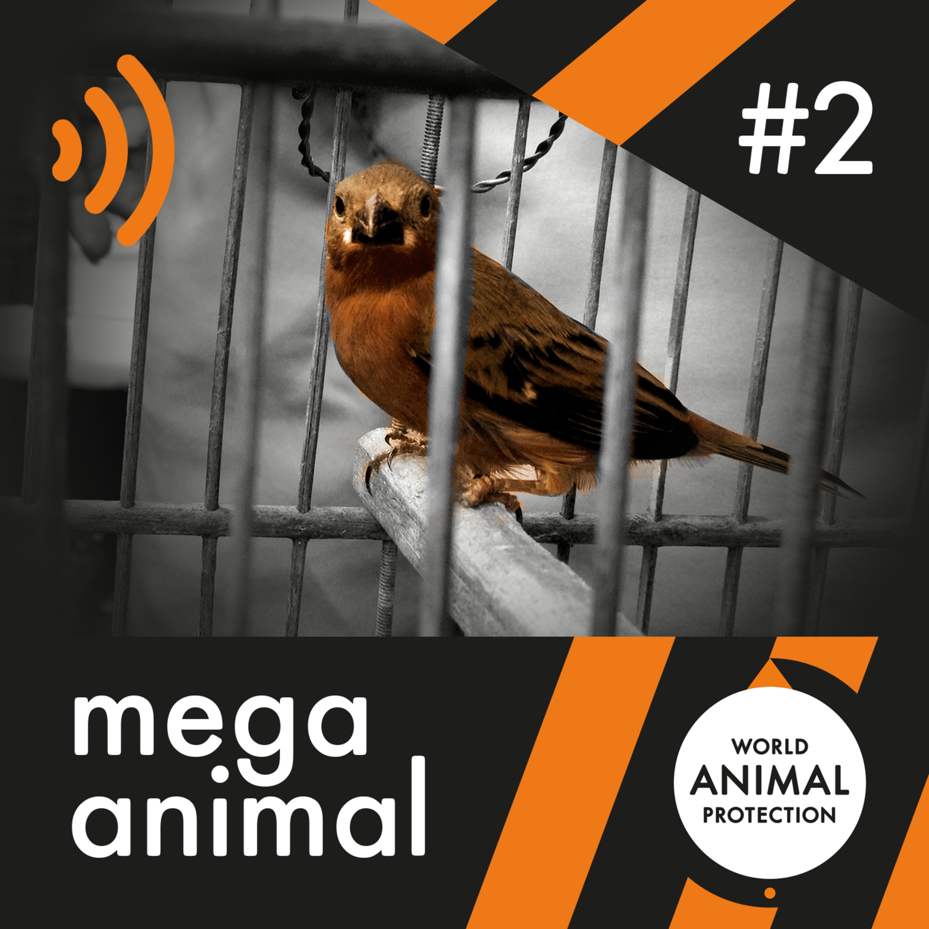 Mega Animal