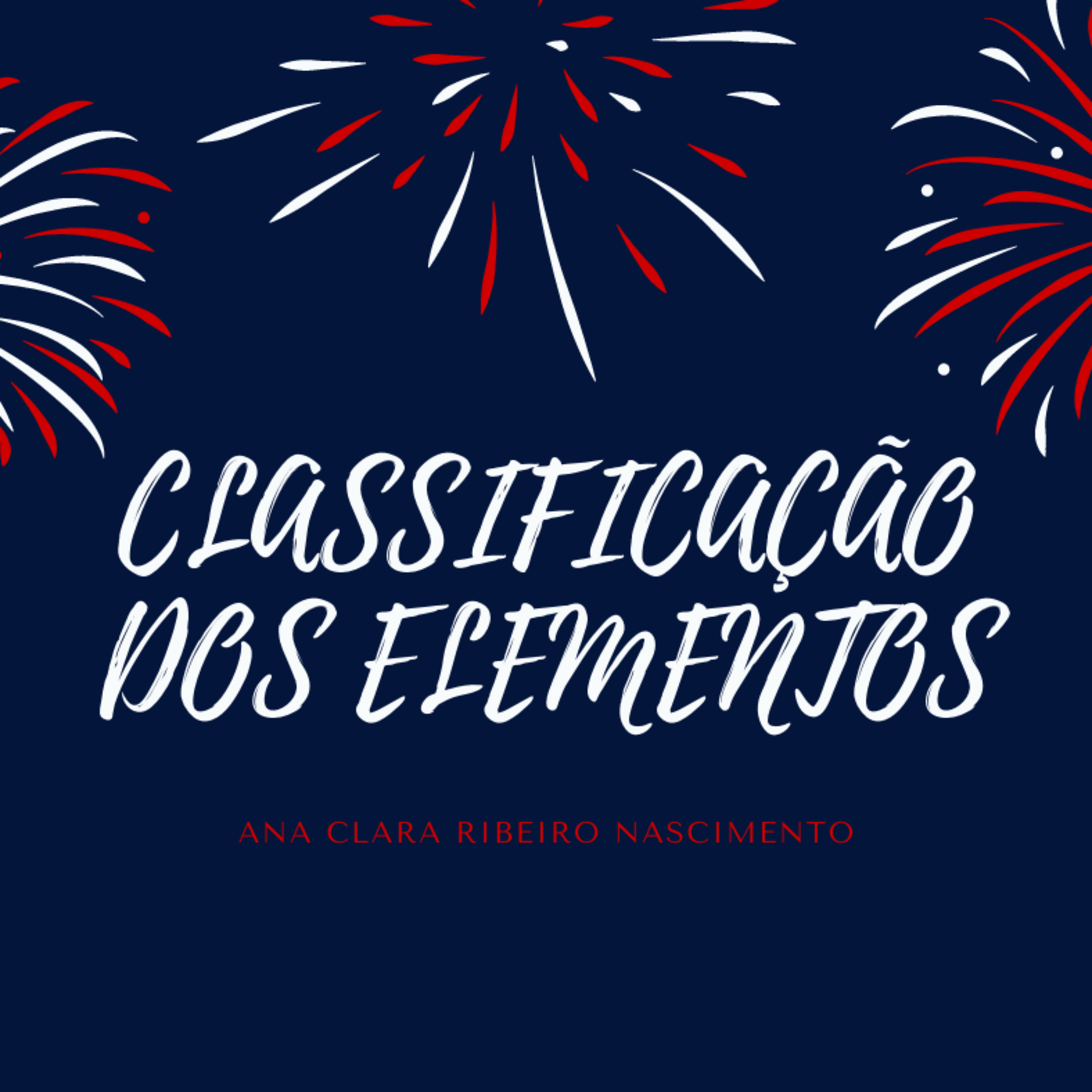ANA CLARA RIBEIRO NASCIMENTO