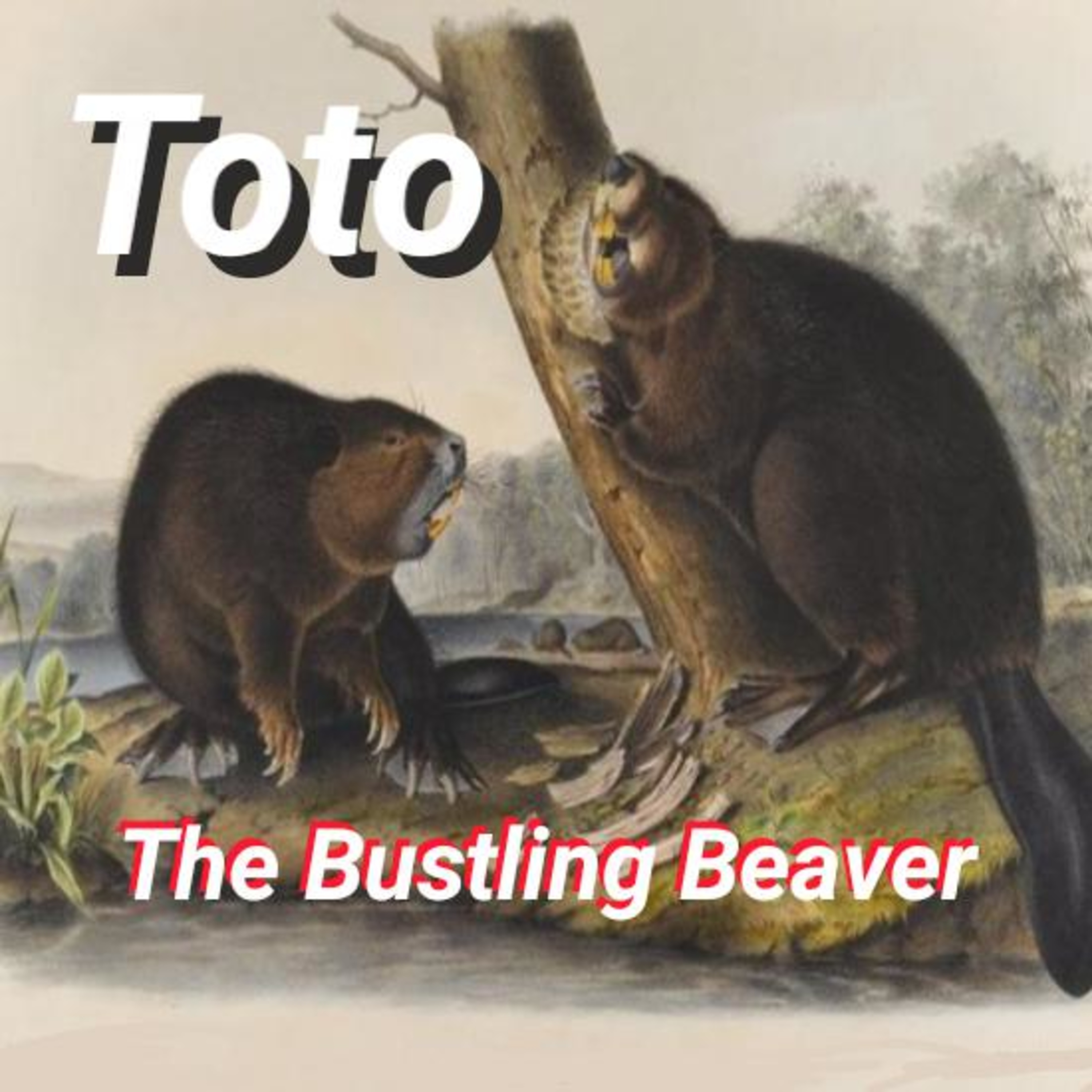 Toto Sees Something Queer - Toto the Bustling Beaver - 5 - Kids Story Bedtime Stories for Children episode artwork