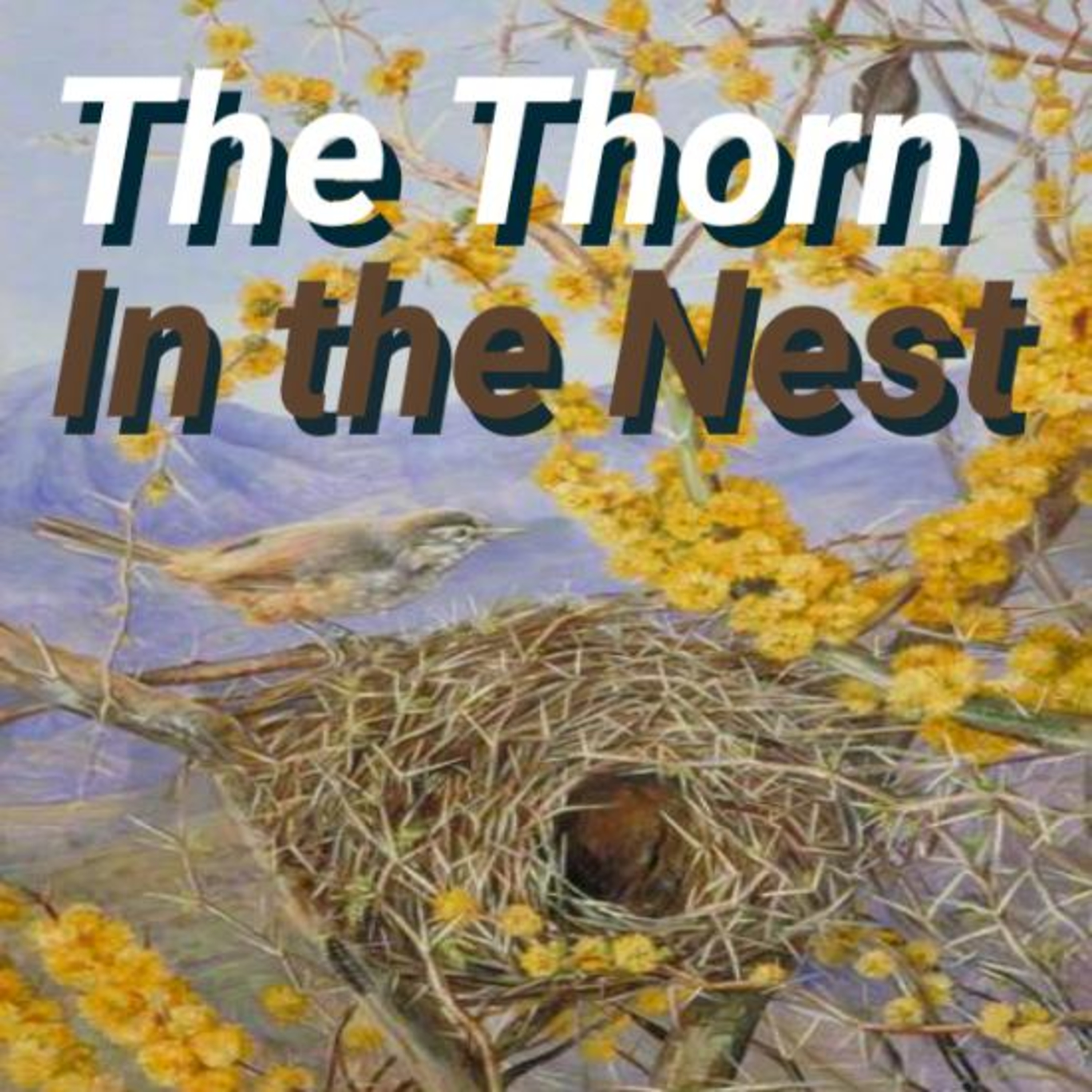 The Thorn in the Nest - Episode 13 - Family Bedtime Stories for Children and Adults episode artwork