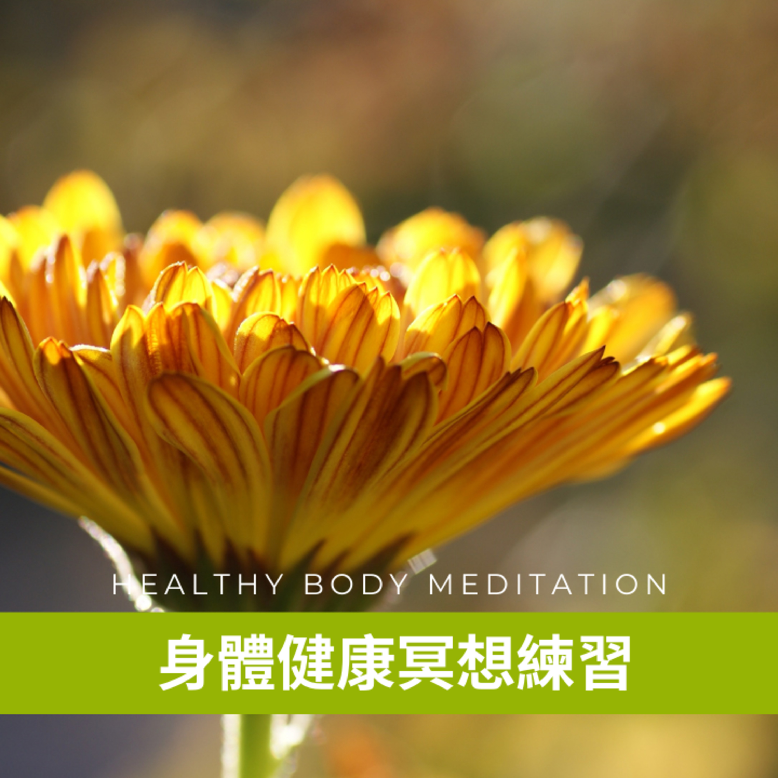完全的你-廣東話瑜珈及冥想練習 WhollyU Yoga and Meditation Practices