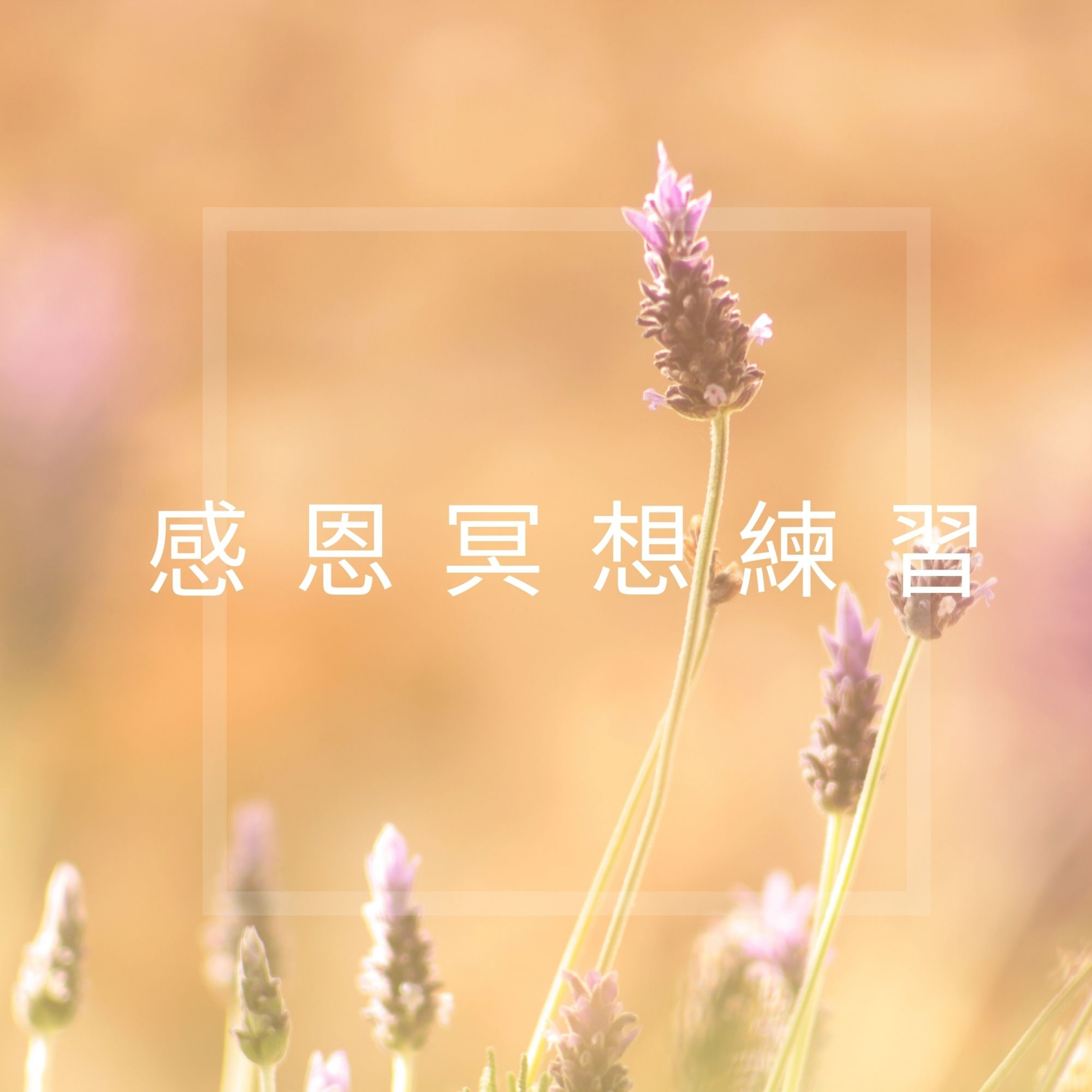 完全的你-廣東話瑜珈及冥想練習 WhollyU Yoga and Meditation Practices