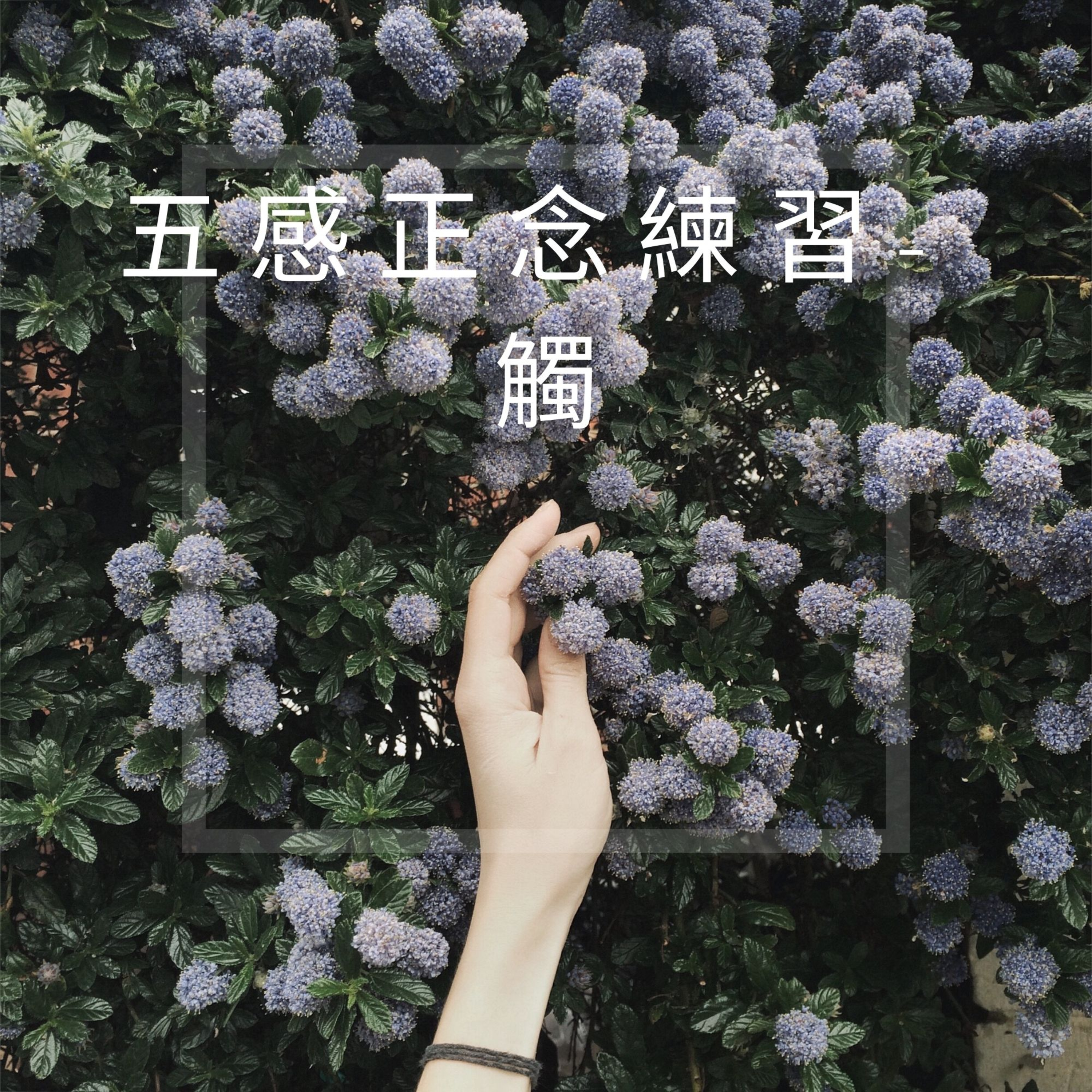 完全的你-廣東話瑜珈及冥想練習 WhollyU Yoga and Meditation Practices