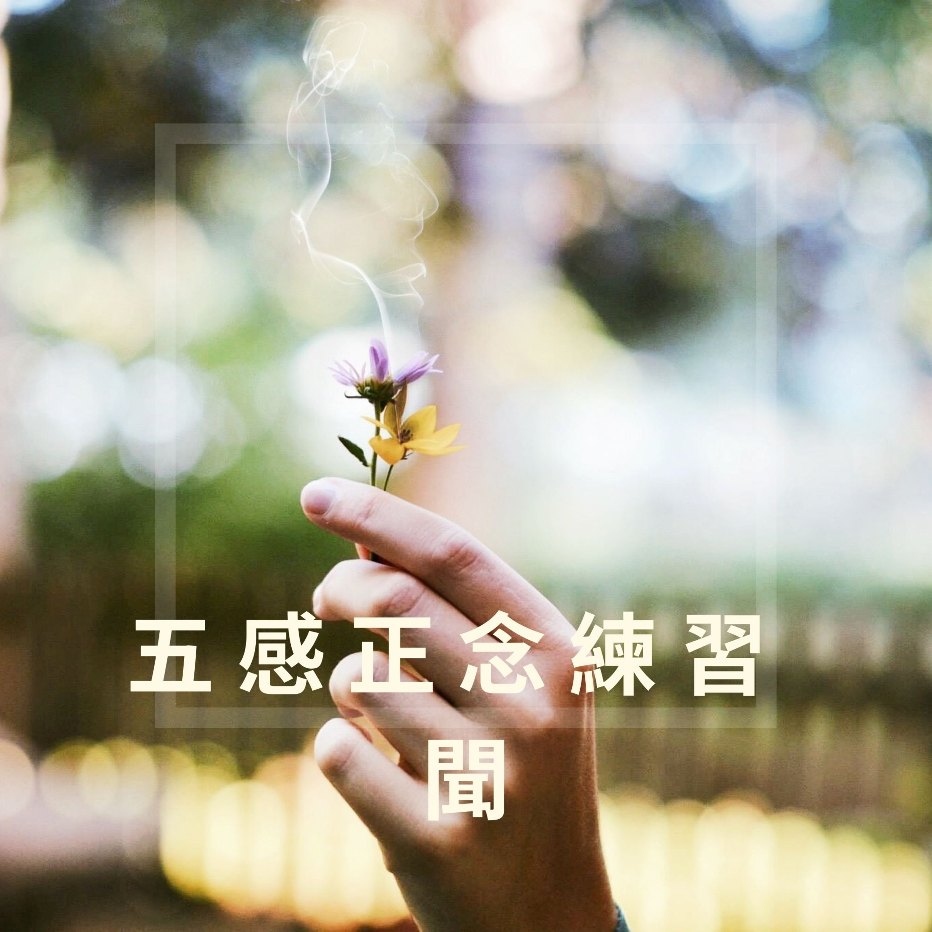 完全的你-廣東話瑜珈及冥想練習 WhollyU Yoga and Meditation Practices