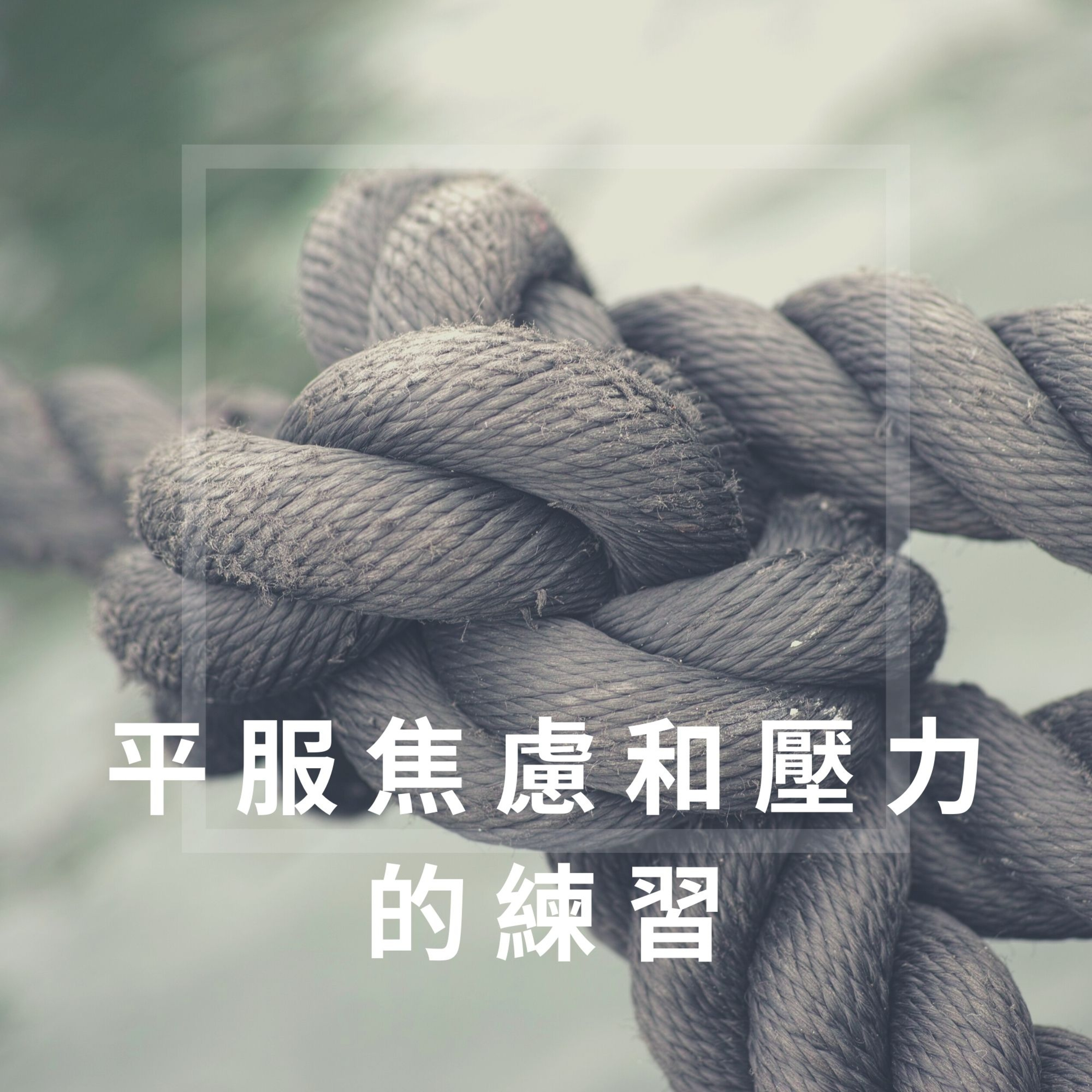 完全的你-廣東話瑜珈及冥想練習 WhollyU Yoga and Meditation Practices