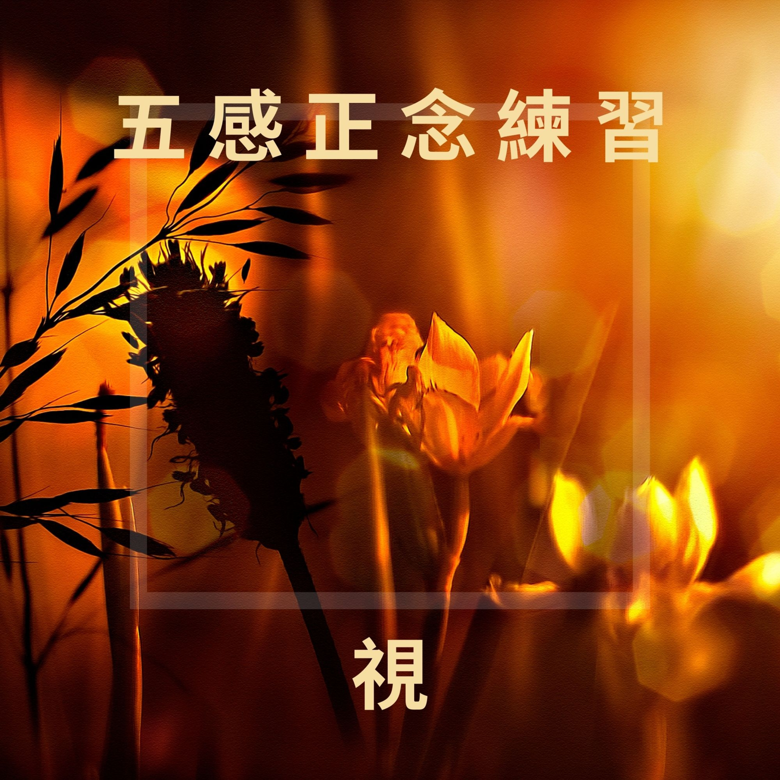 完全的你-廣東話瑜珈及冥想練習 WhollyU Yoga and Meditation Practices