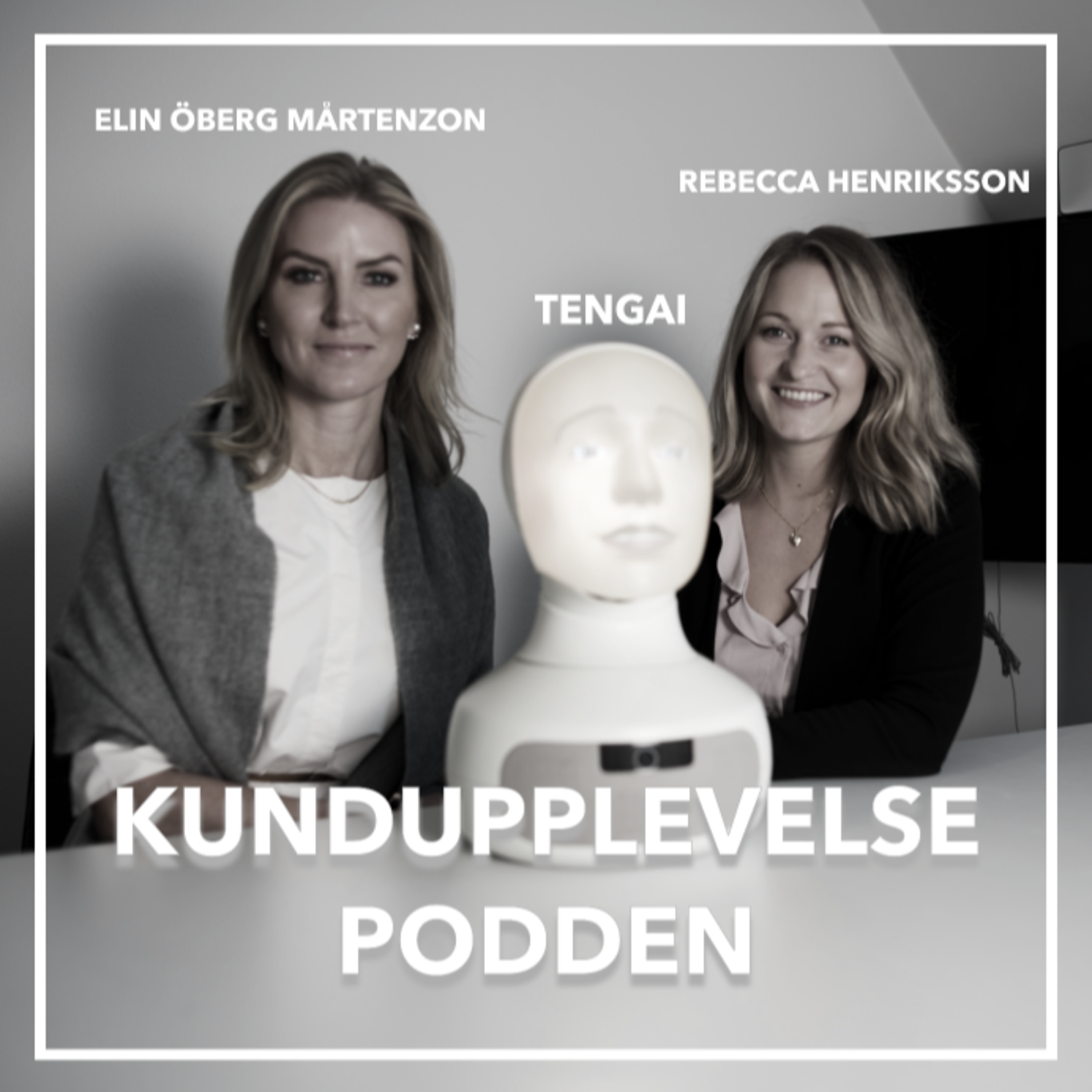 Kundupplevelsepodden