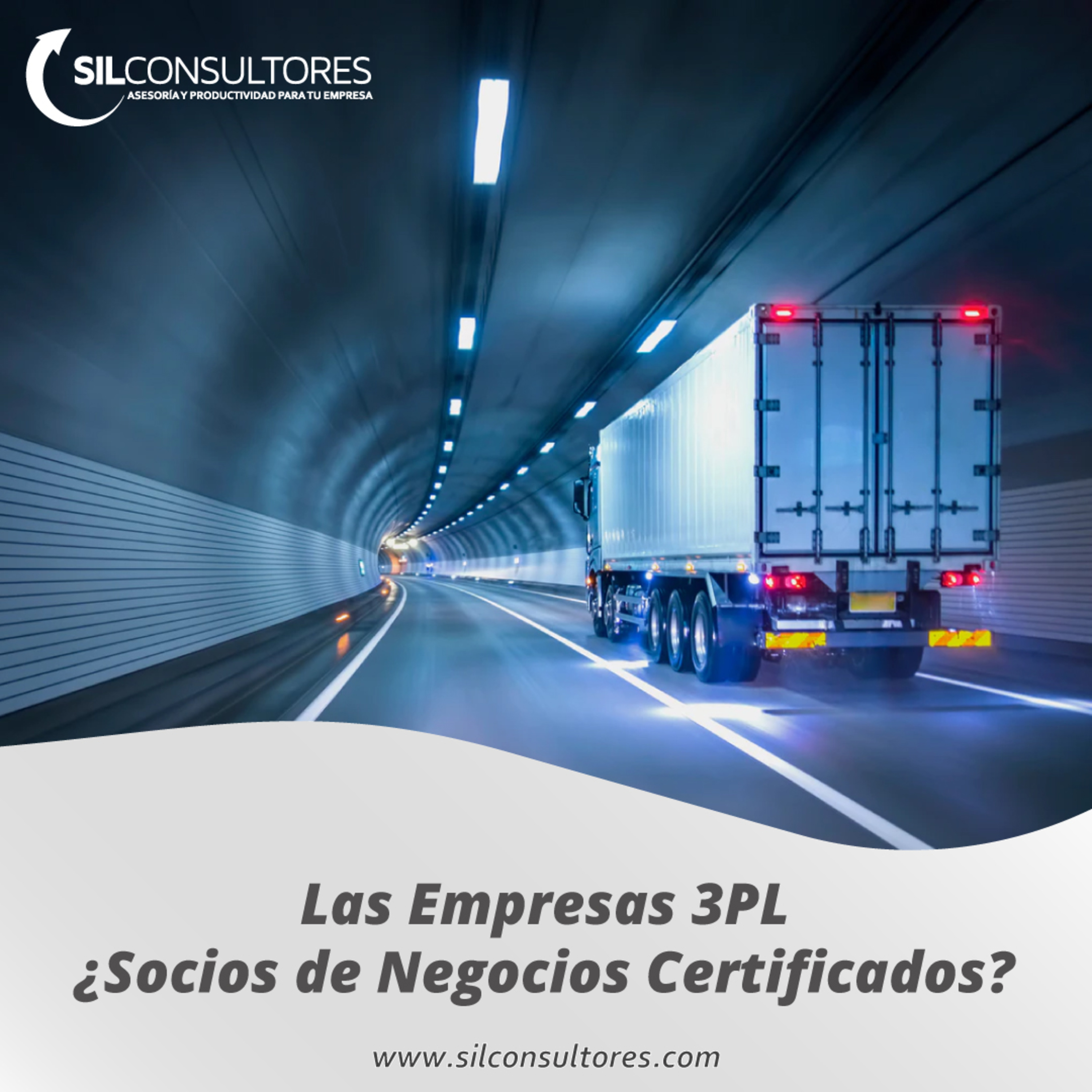 Interactuando con SIL Consultores