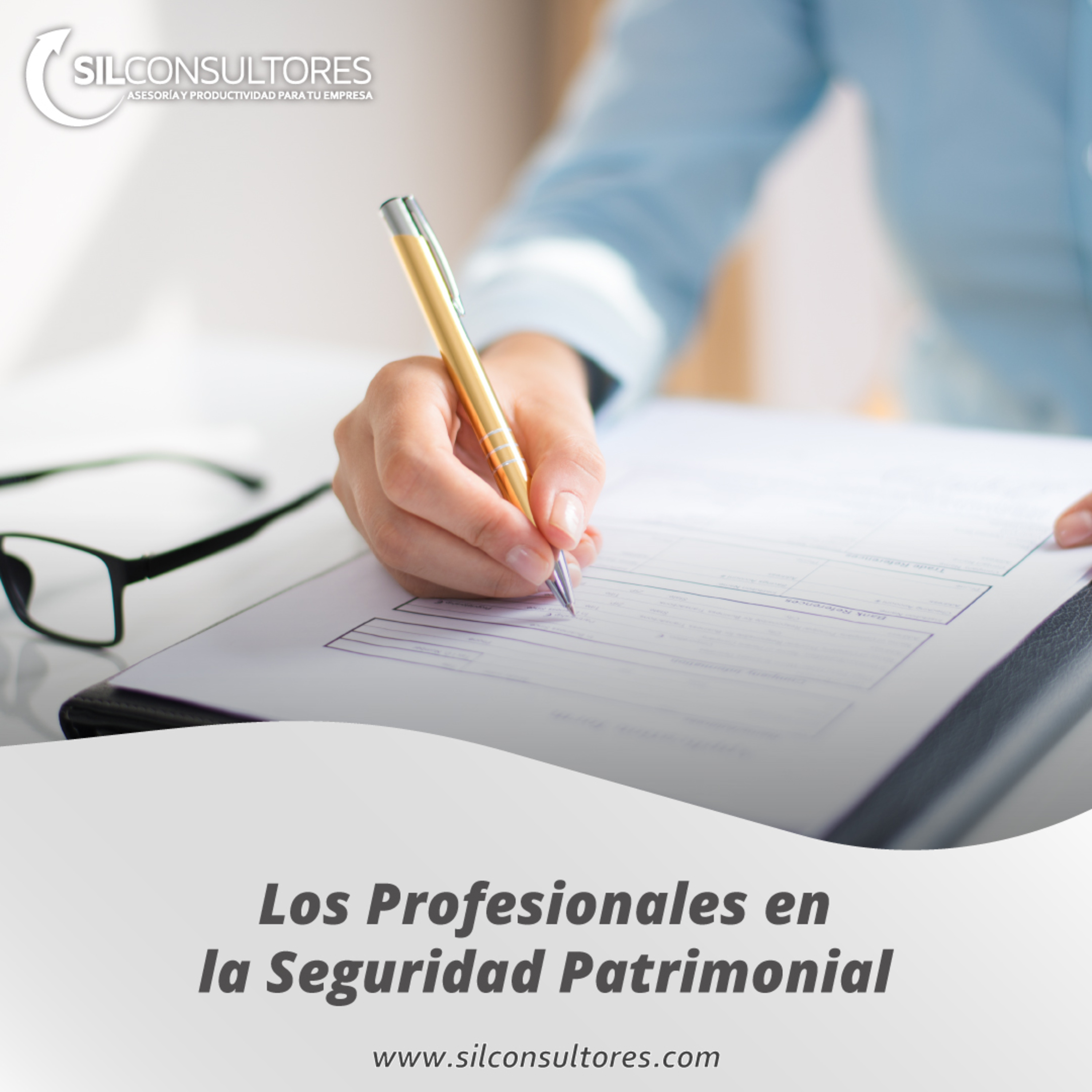 Interactuando con SIL Consultores