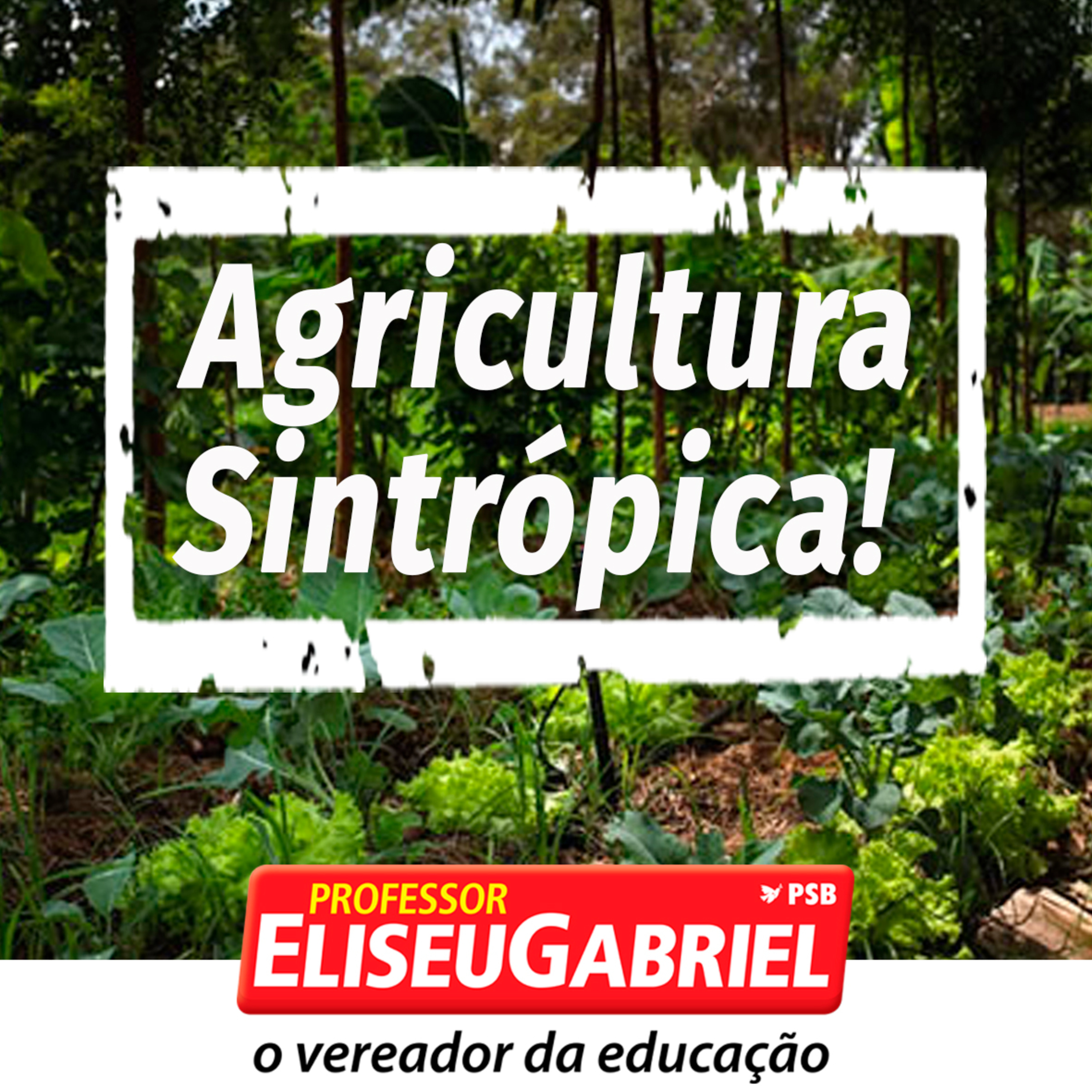 Conversa de Professor