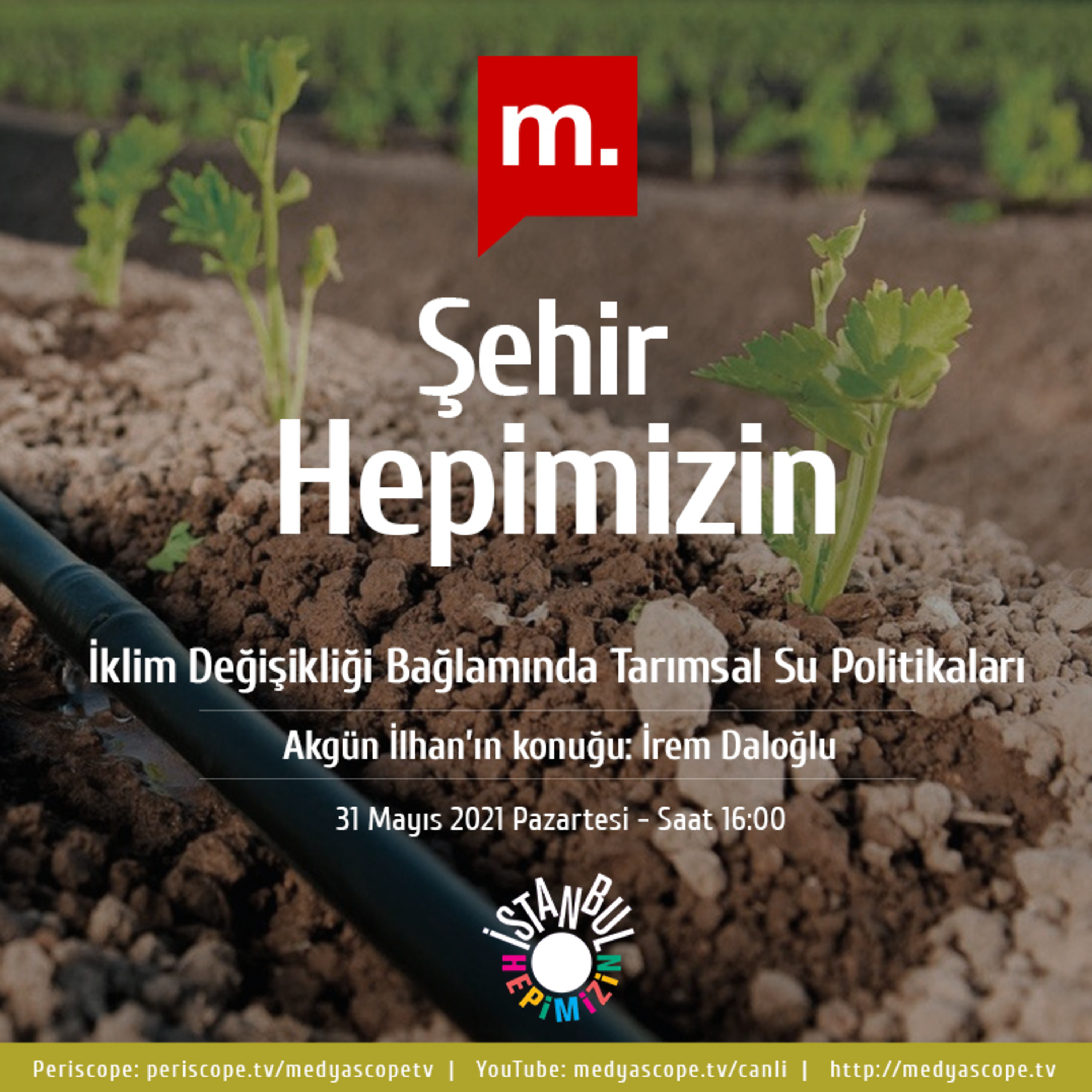 Şehir Hepimizin