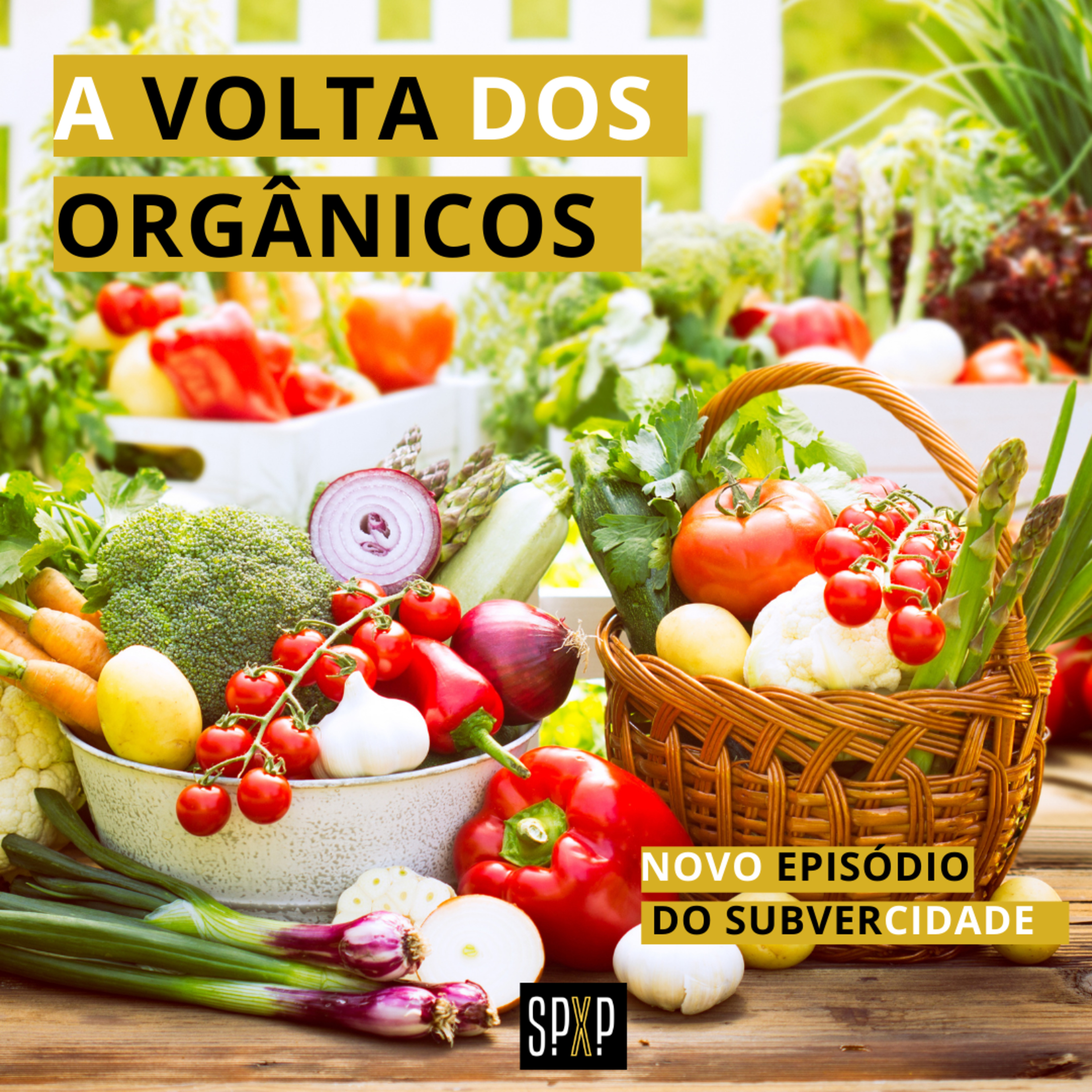 SubverCidade Podcast