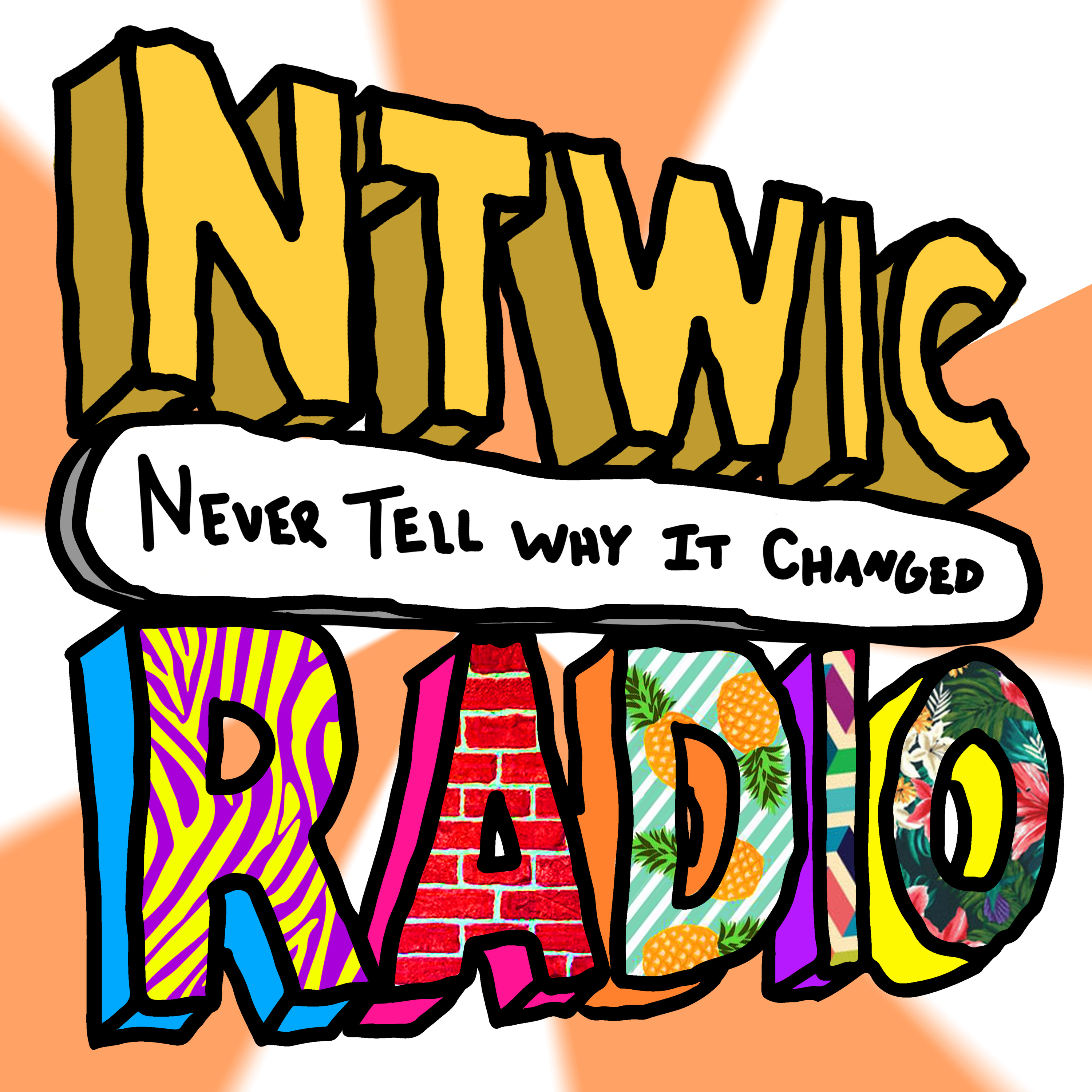 NTWIC Radio