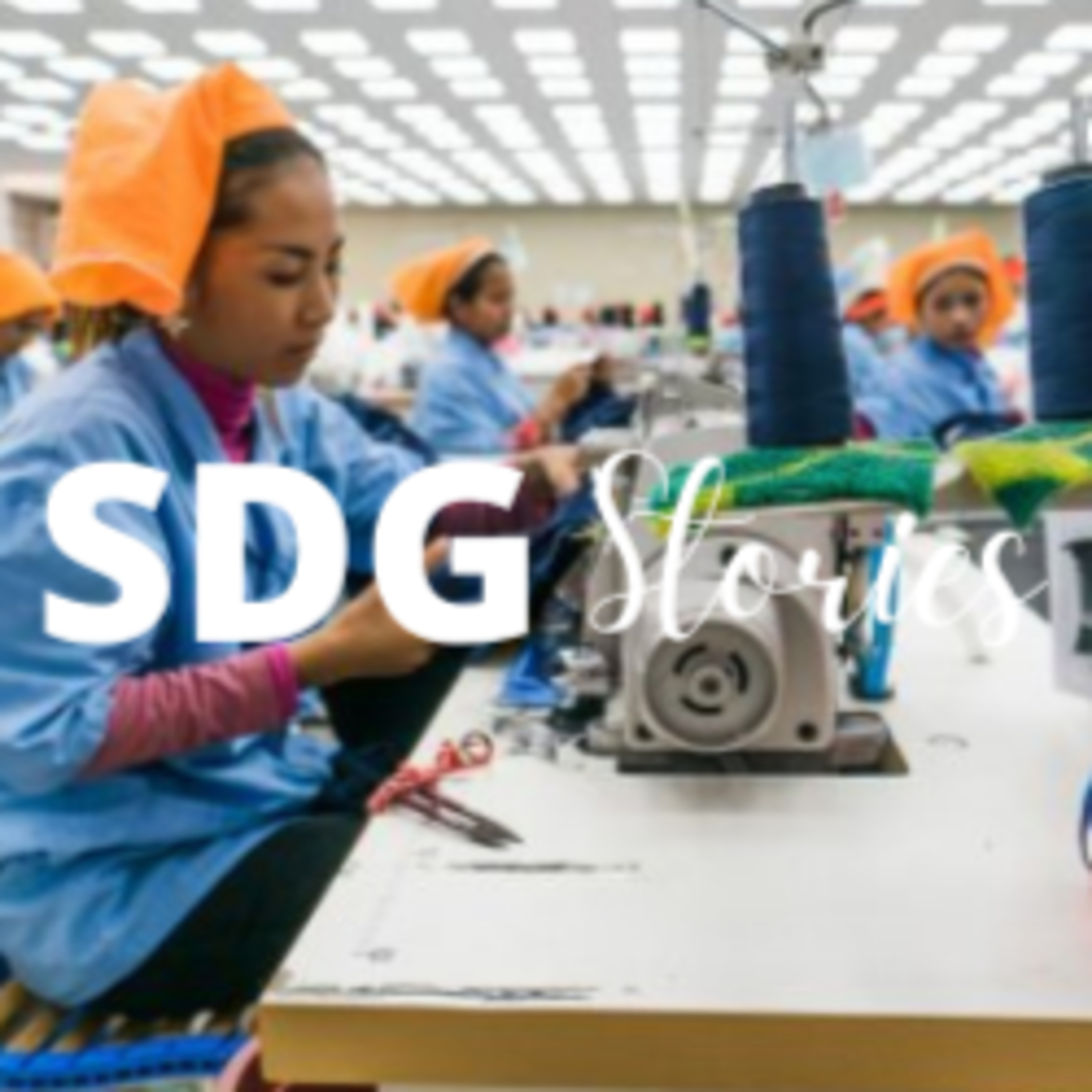 SDG Stories