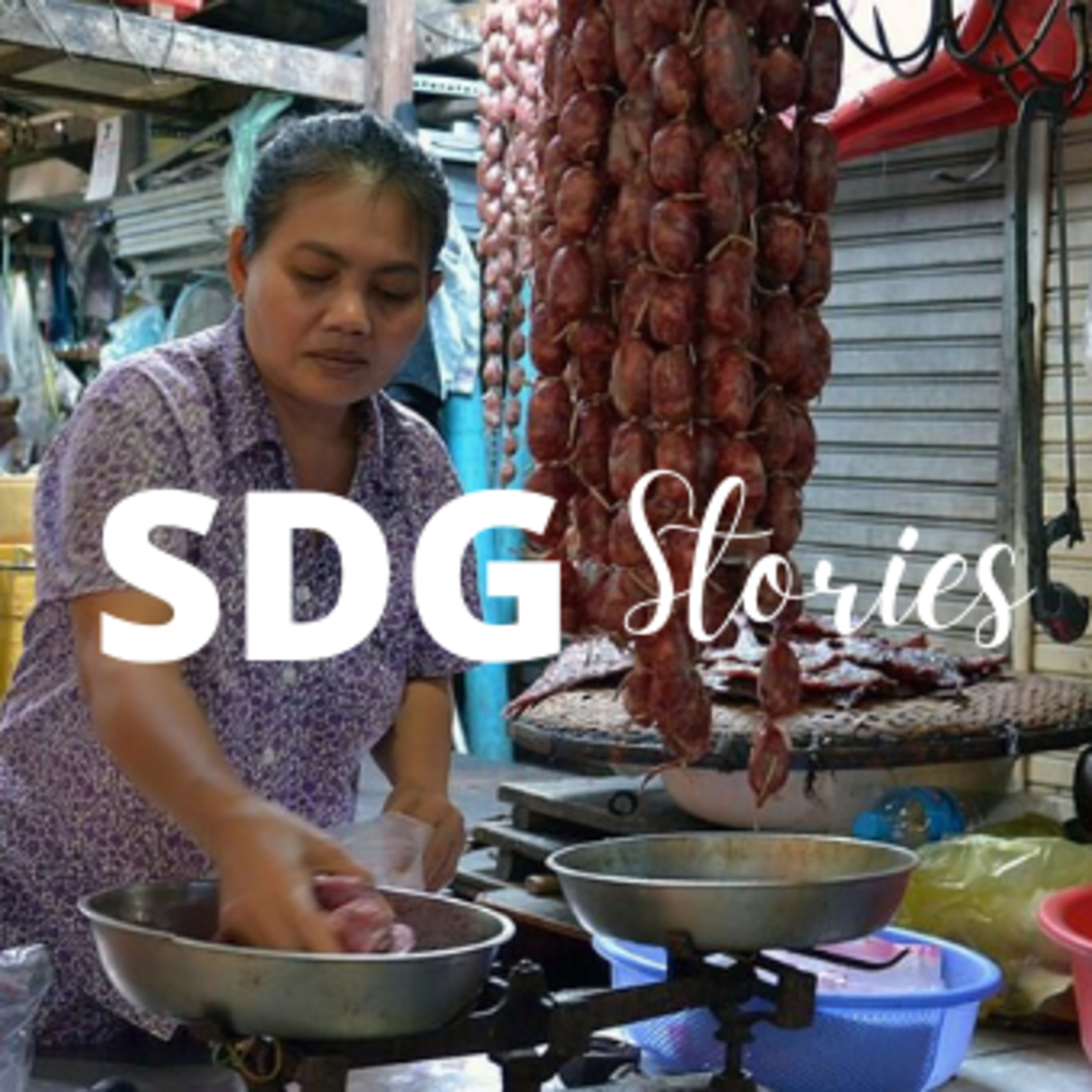 SDG Stories