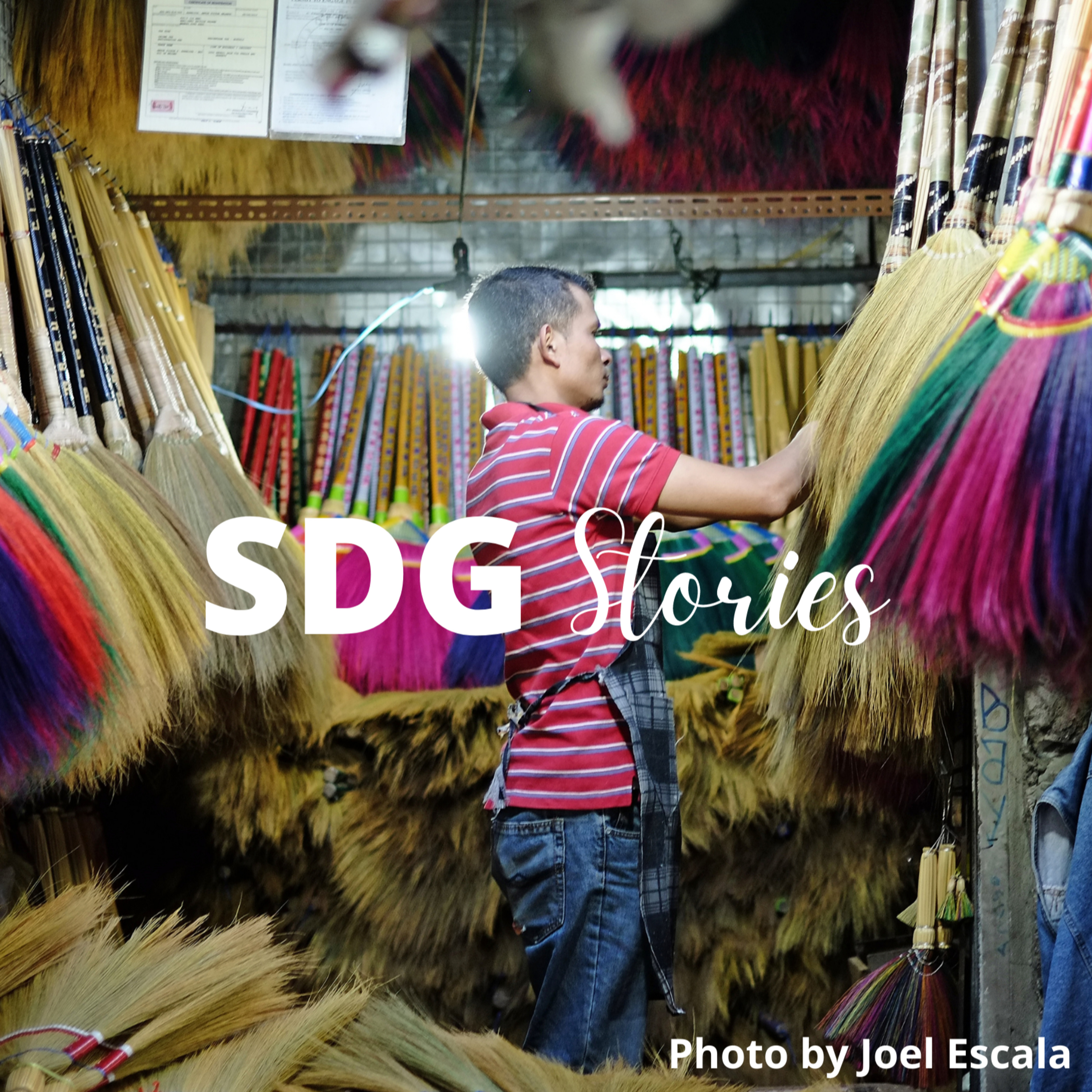 SDG Stories