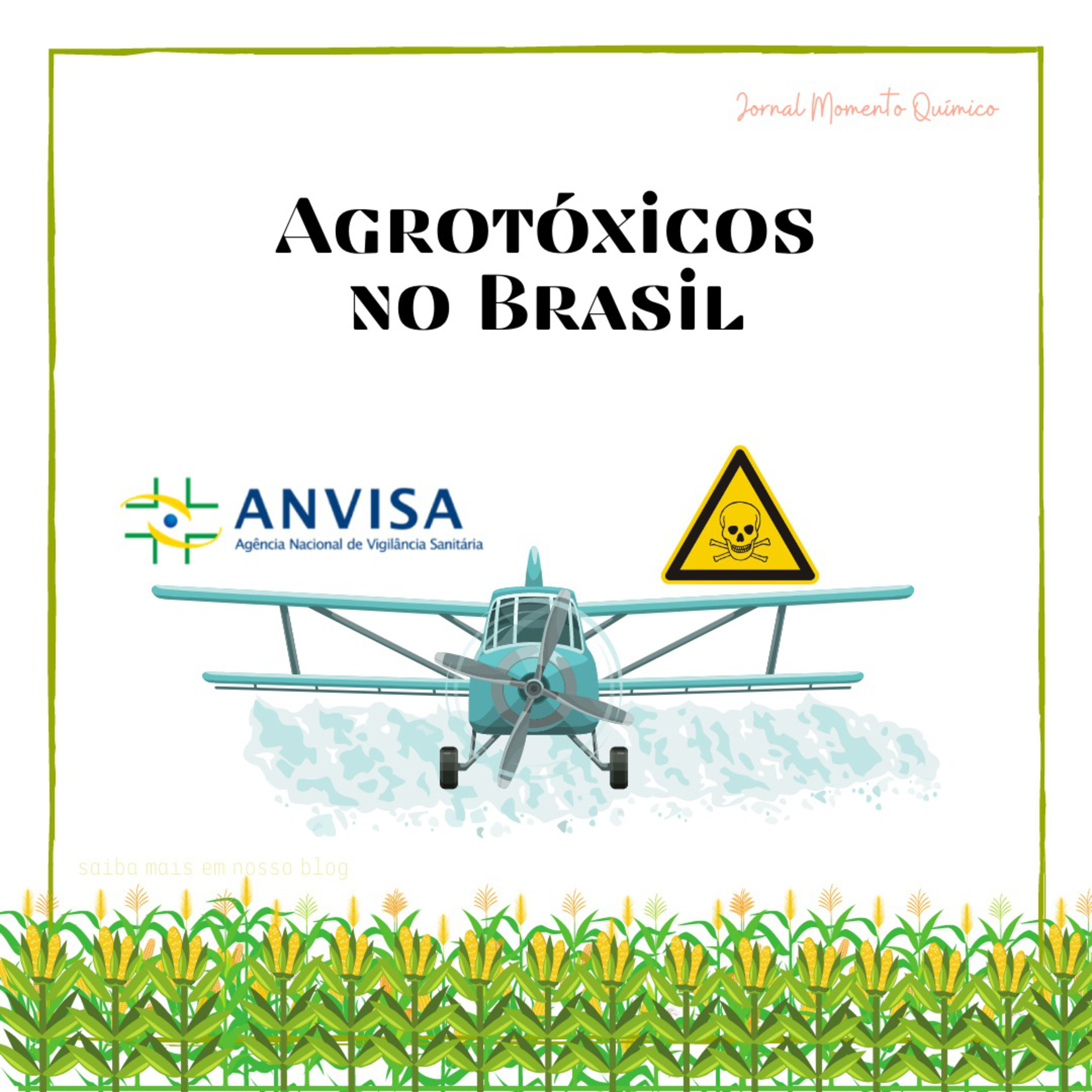 Momento Químico