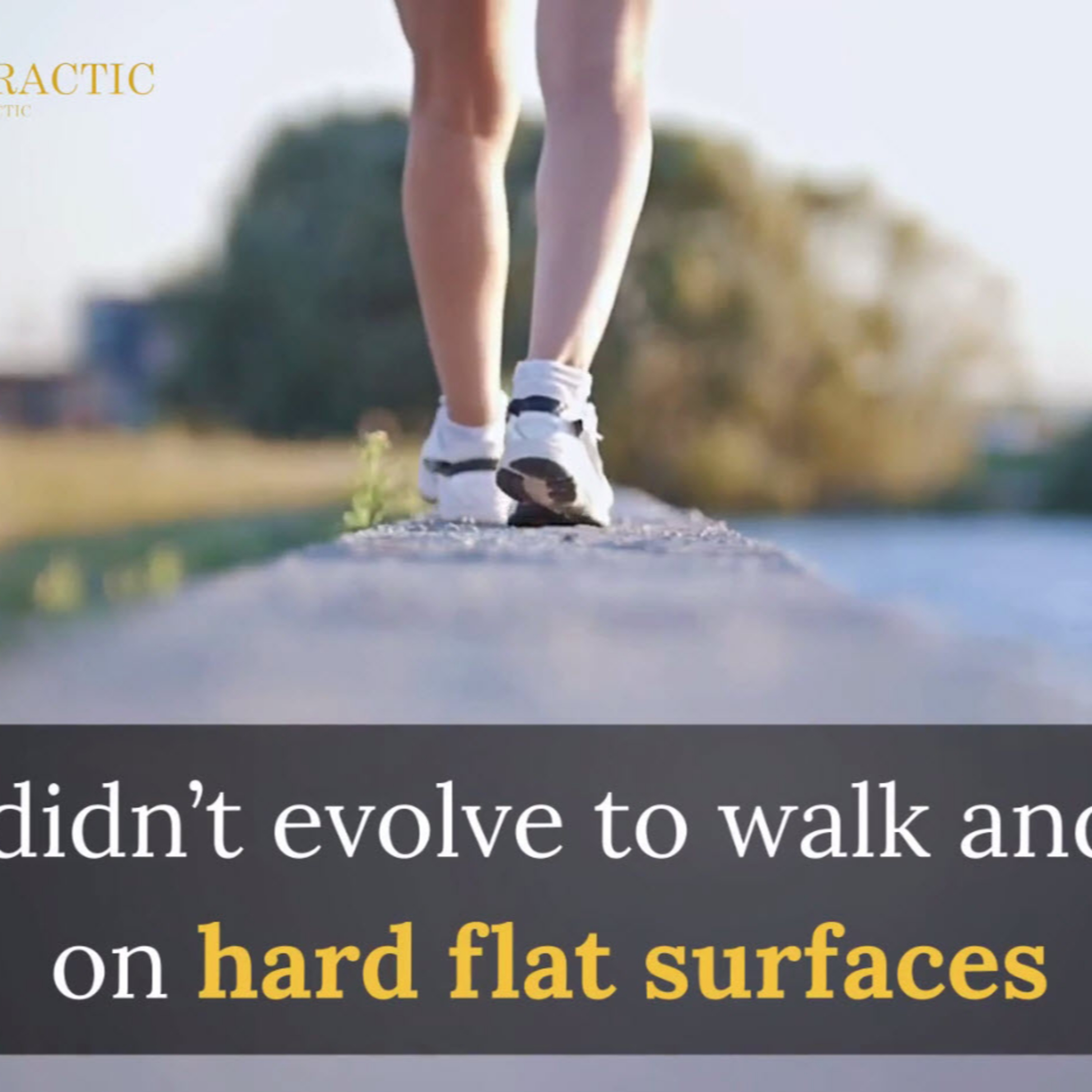 The Pain Maestro - Pain and alternative Solutions