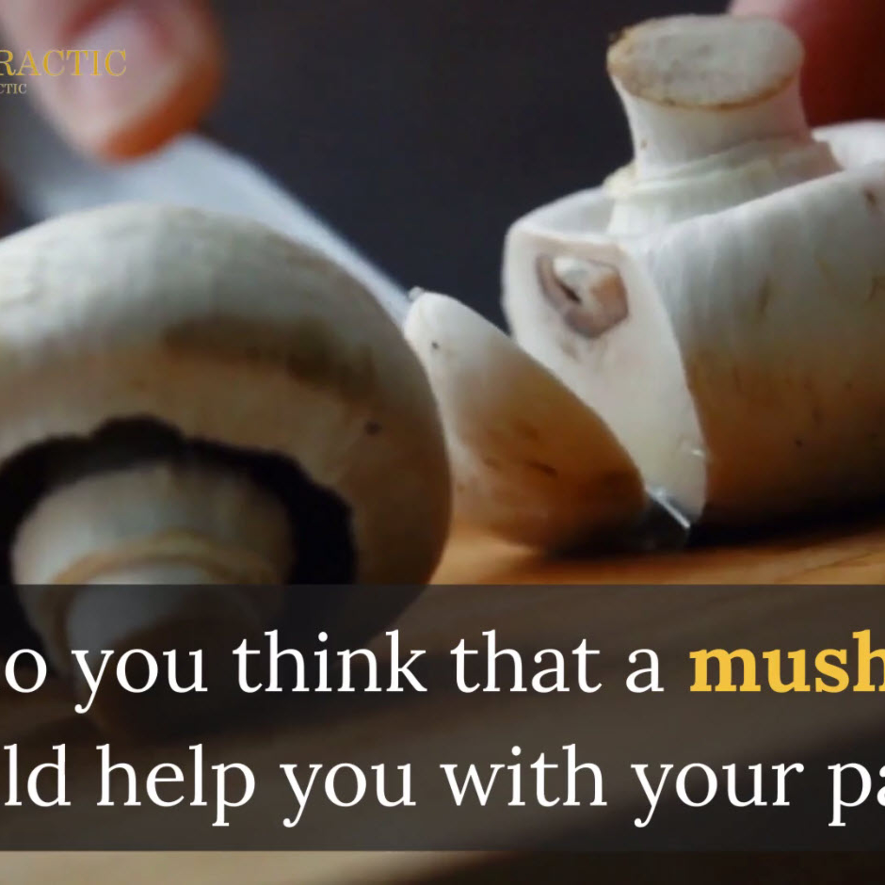 The Pain Maestro - Pain and alternative Solutions