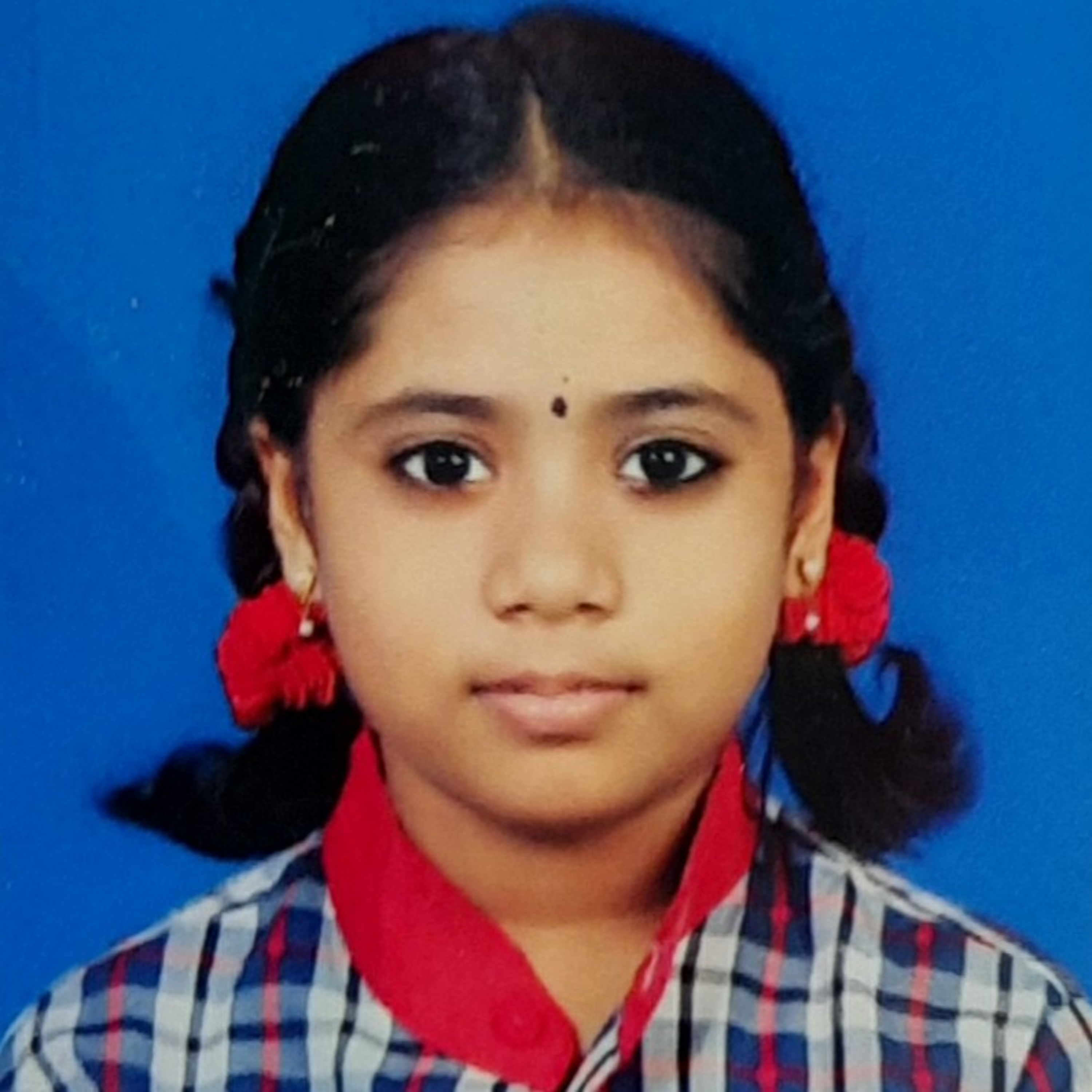 Bees Vs Me ( Story): B. R. Supraja, IX class, Ramanath Secondary School Visakhapatnam, AndhraPradesh