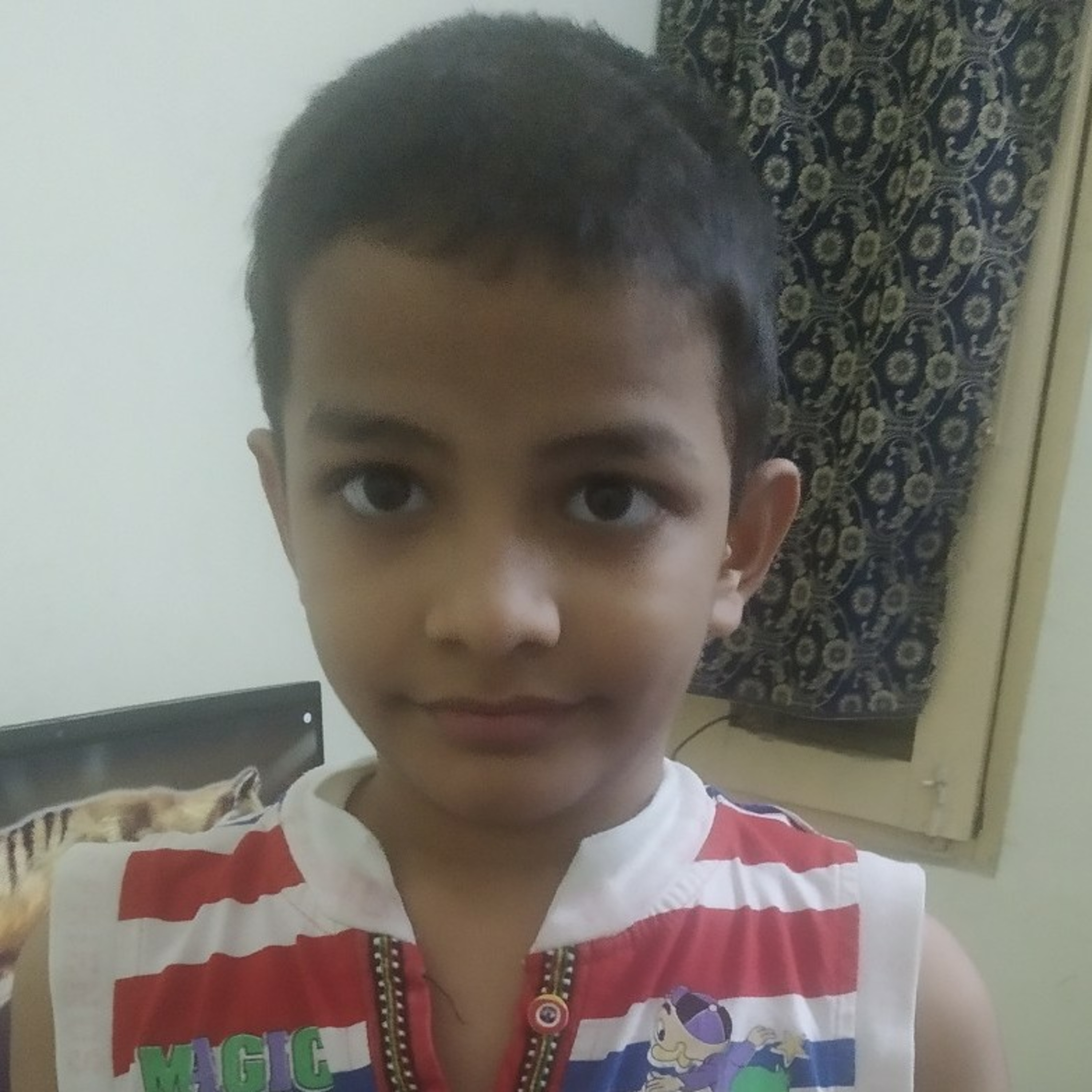 Fantastic Mr. Fox (Story) : Aditya Singh Rathaur, V class, Ramanath Secondary School Visakhapatnam