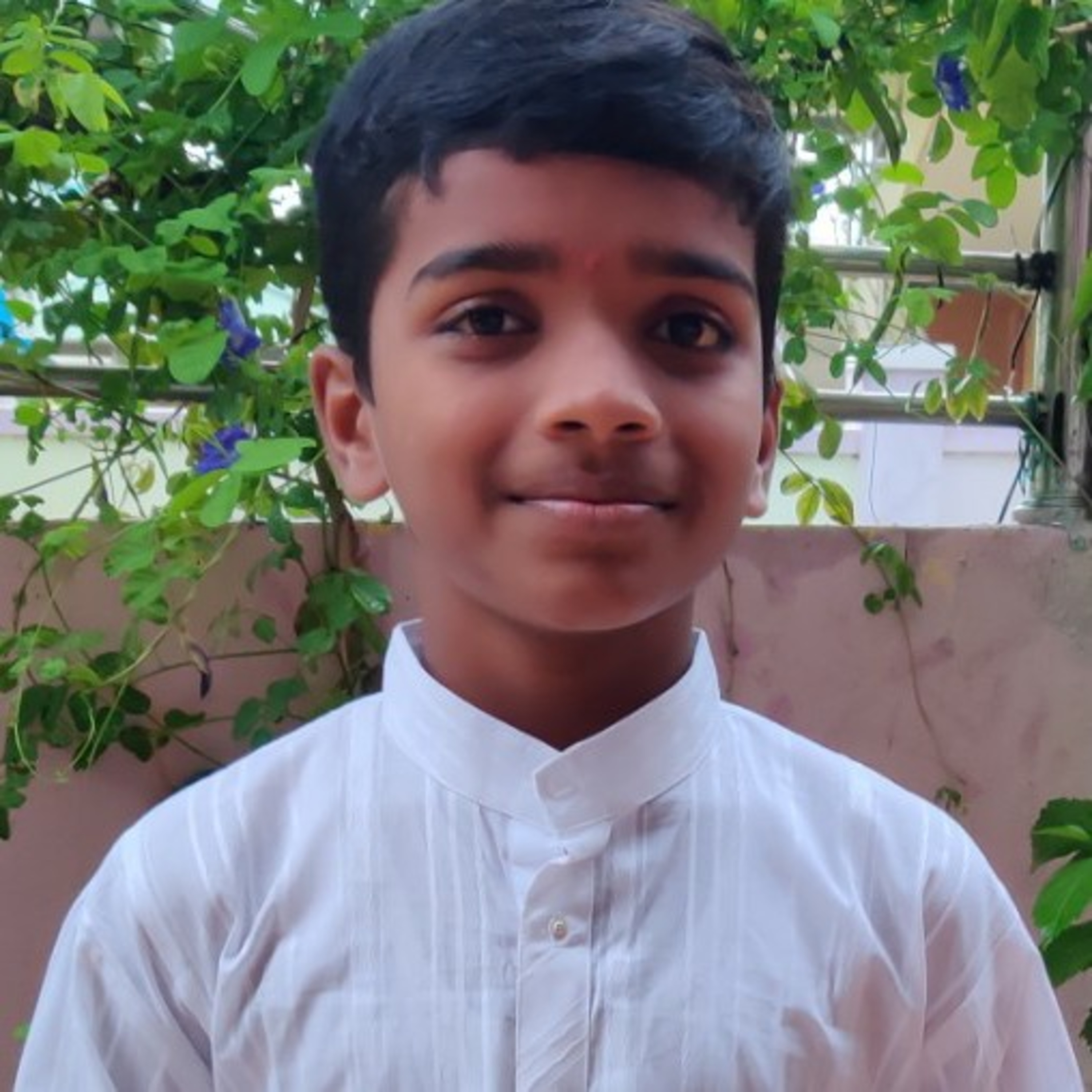 How The Dog found himself a new Master (Story) : N. Pranay Rithwik reddy, VI class K.V. Siddipet,TS episode artwork
