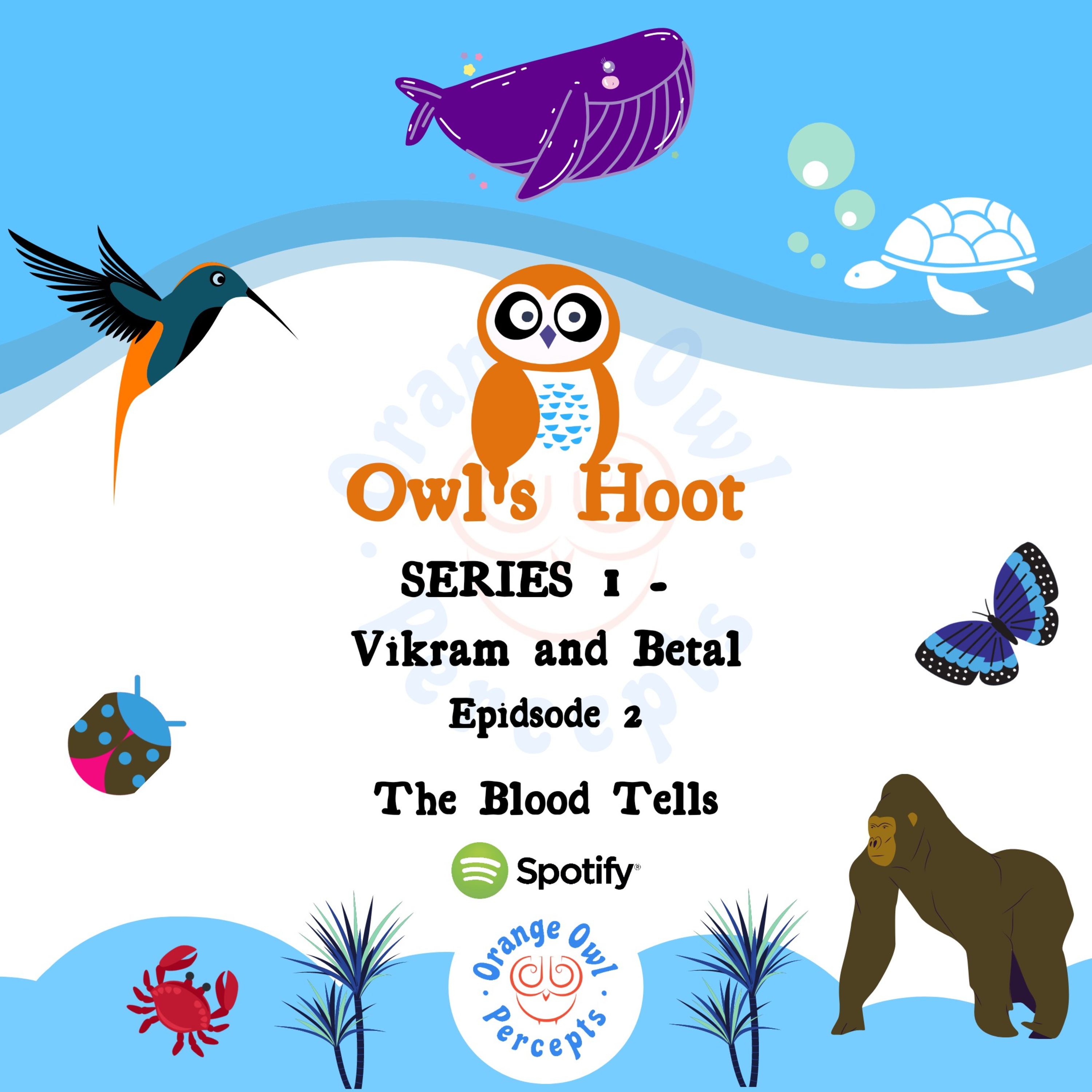 Owl\'s Hoot