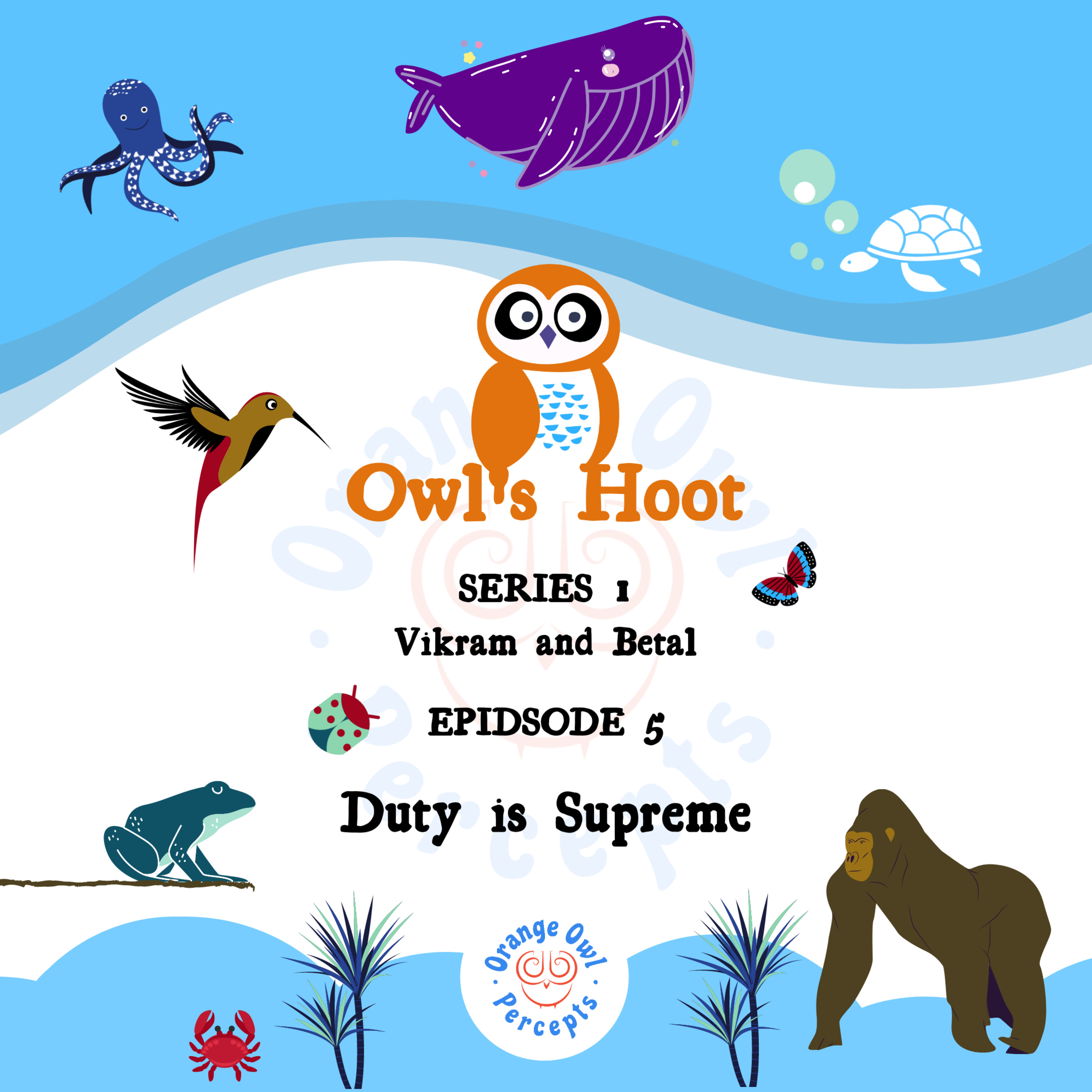 Owl\'s Hoot