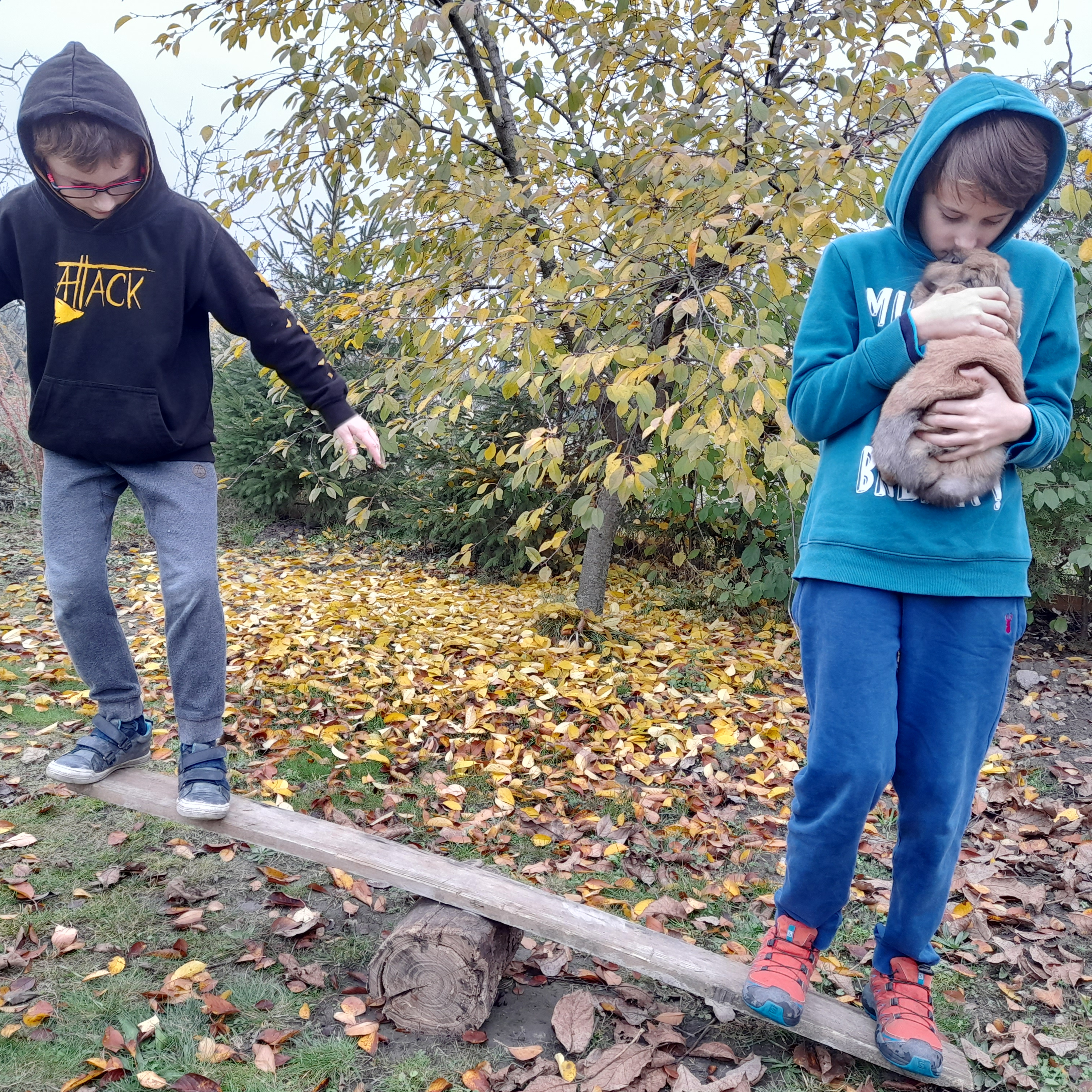čierna labuť