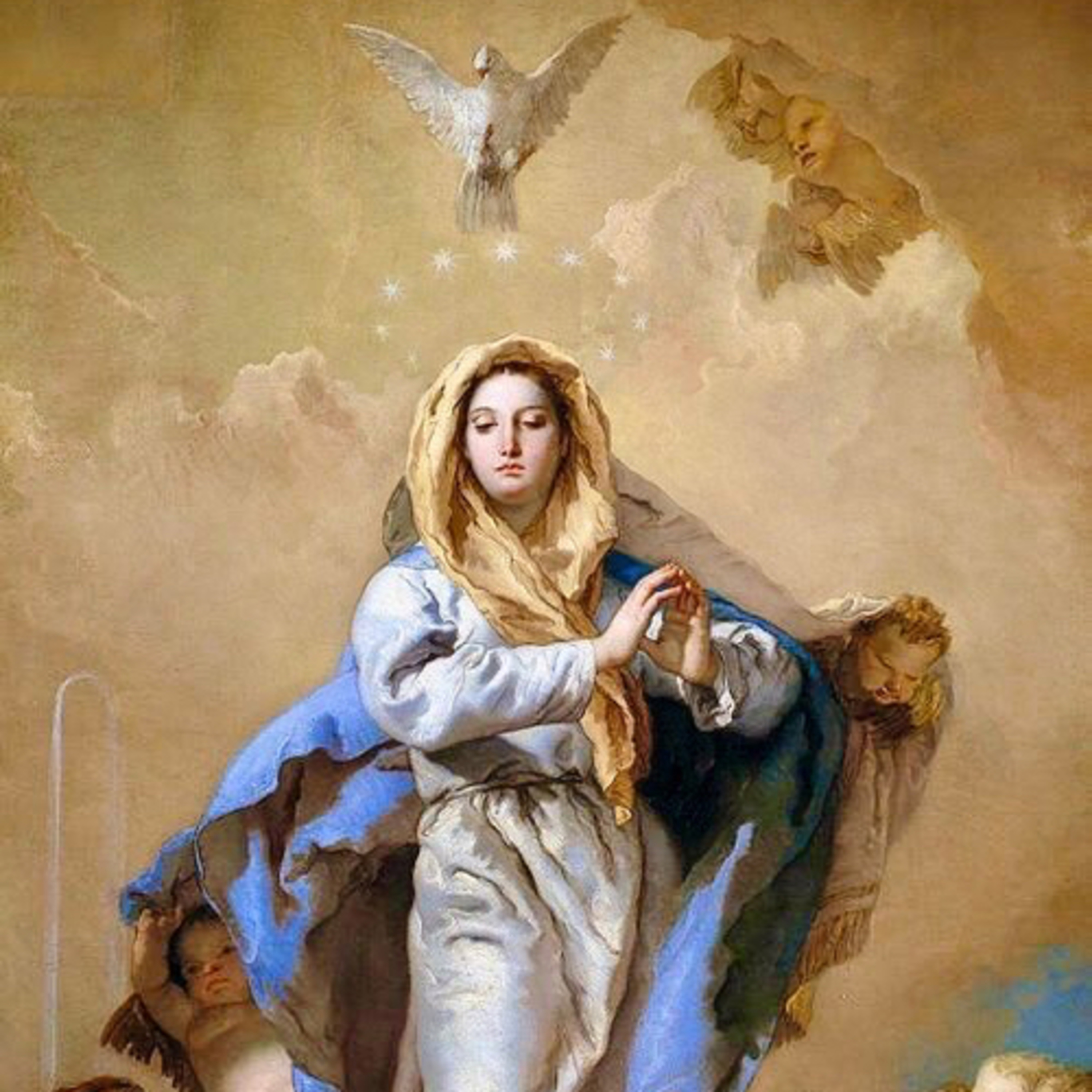 Homilia 15.08.23 - Assunção de Nossa Senhora.  episode artwork
