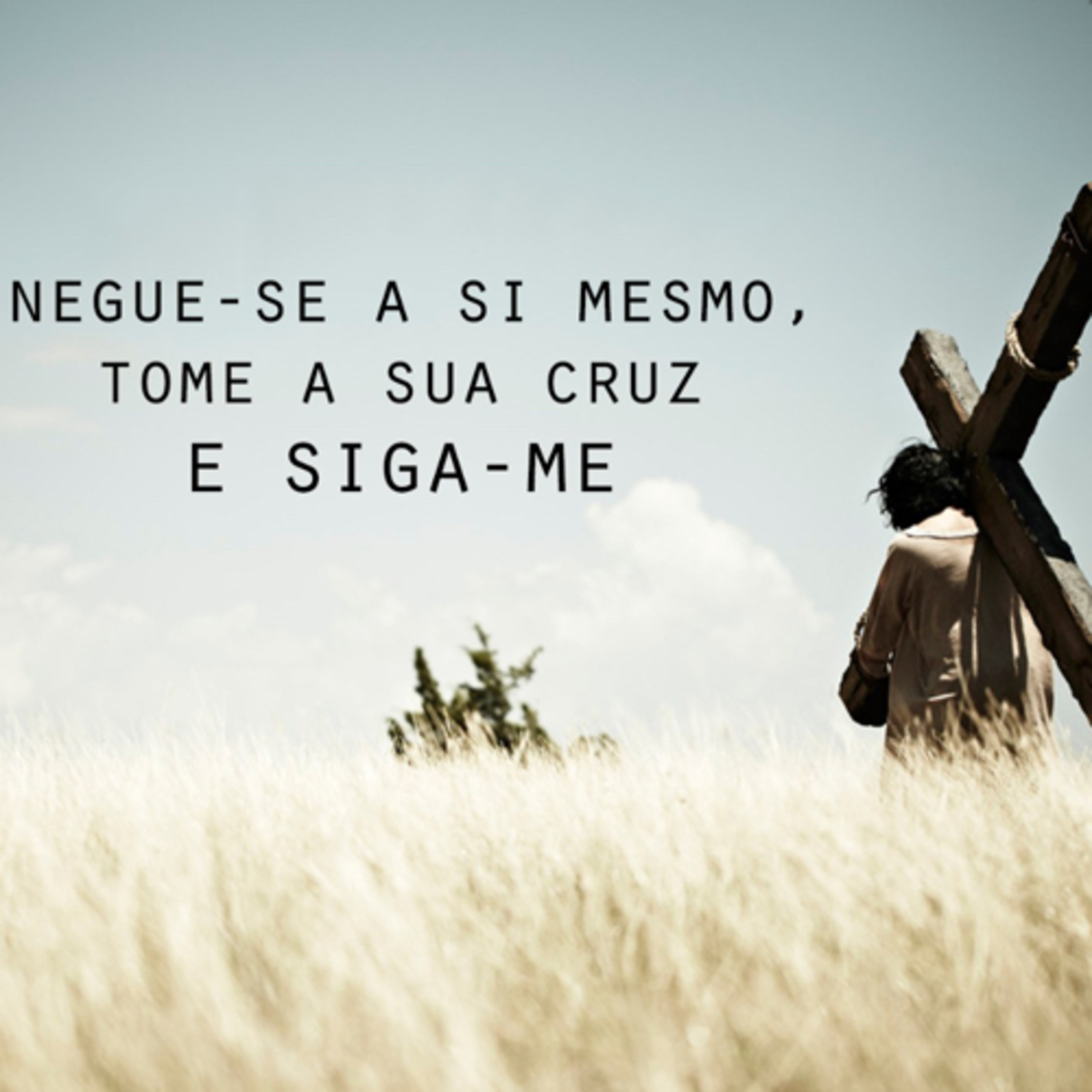 Homilia Dominical | Perder por Jesus. episode artwork