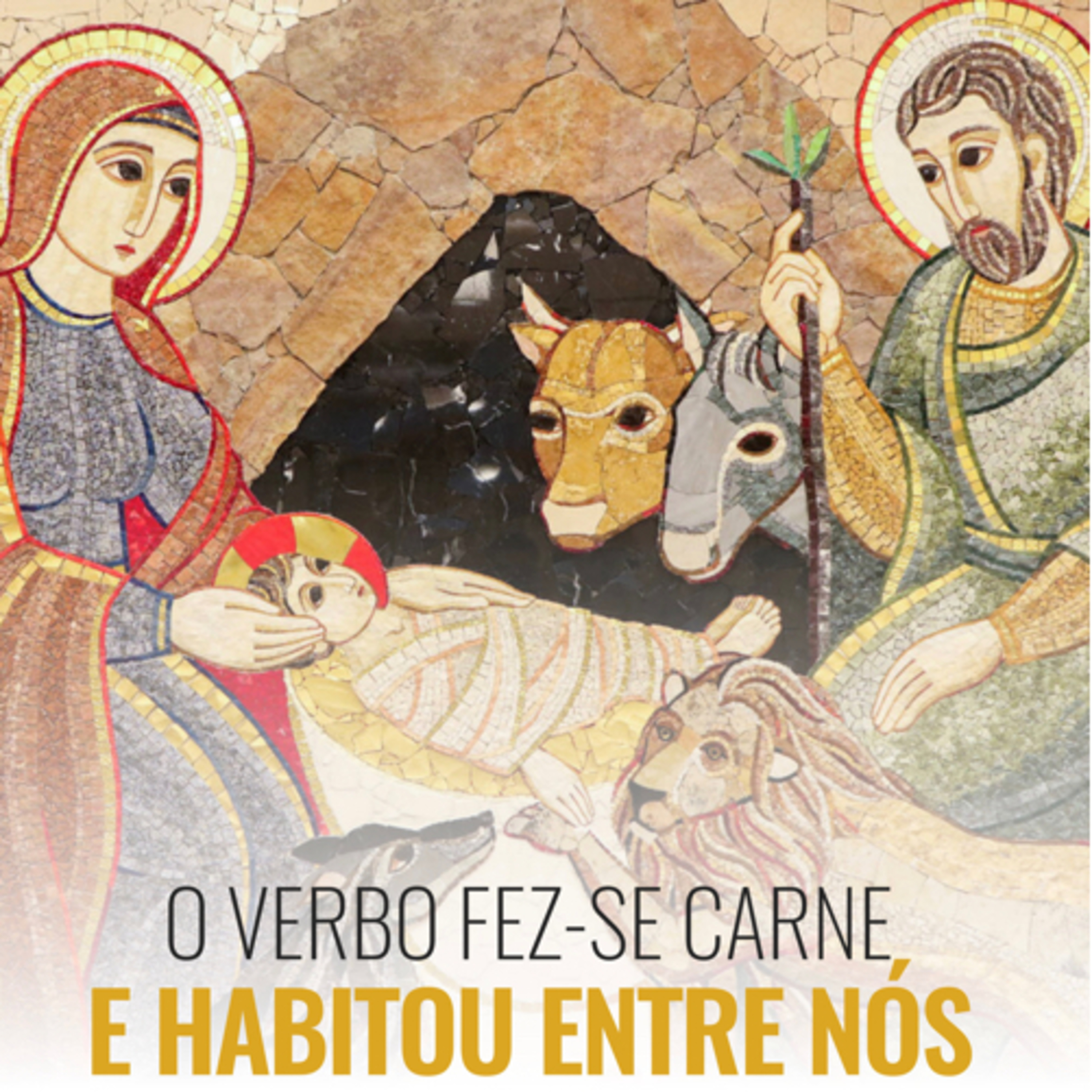 Homilia da Noite de Natal.