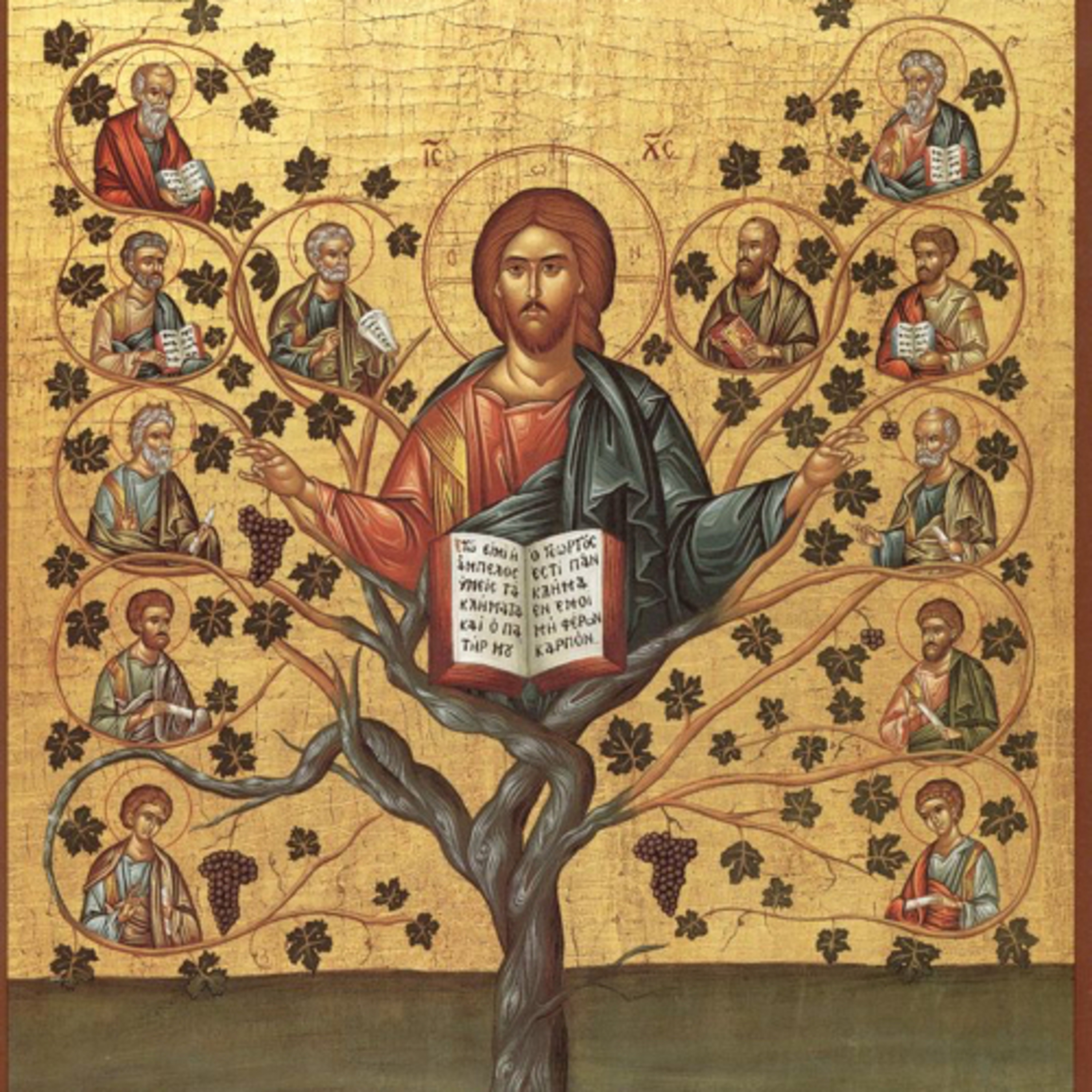 Homilia Dominical | Sem mim nada podeis fazer (5° Domingo da Páscoa)