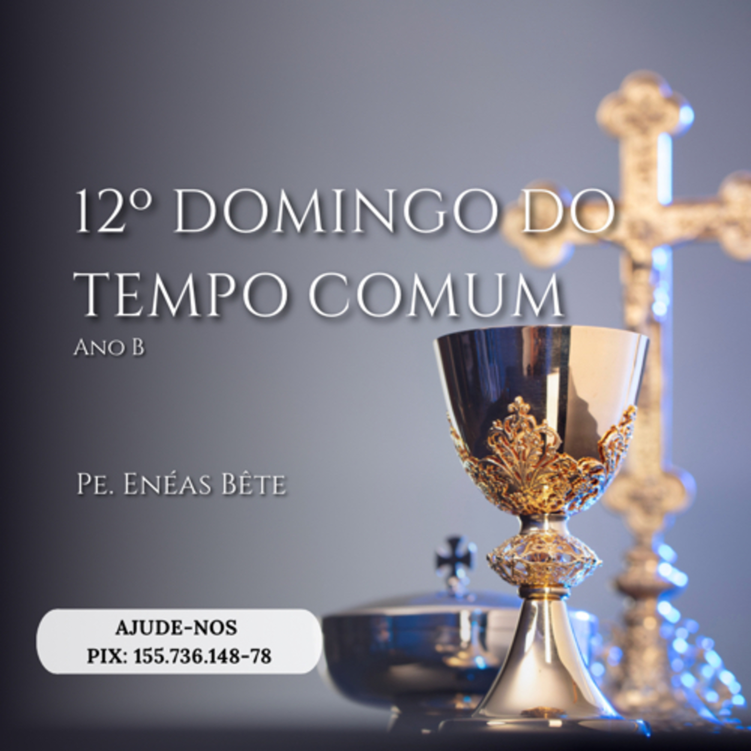 Homilia Dominical - 12º TC | Aprender com Jó a passar as tribulações. episode artwork