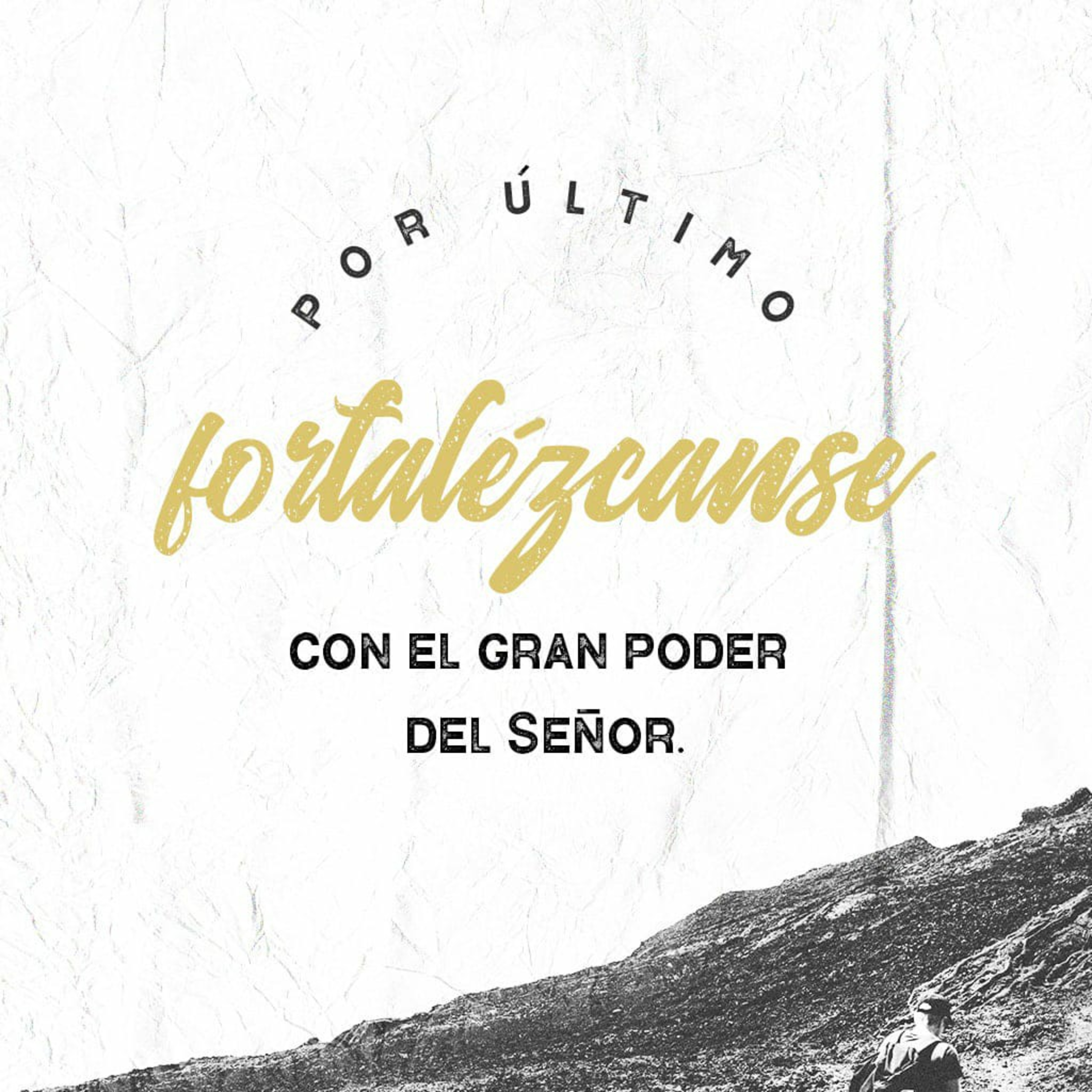 Portada de Devocional edificando la casa