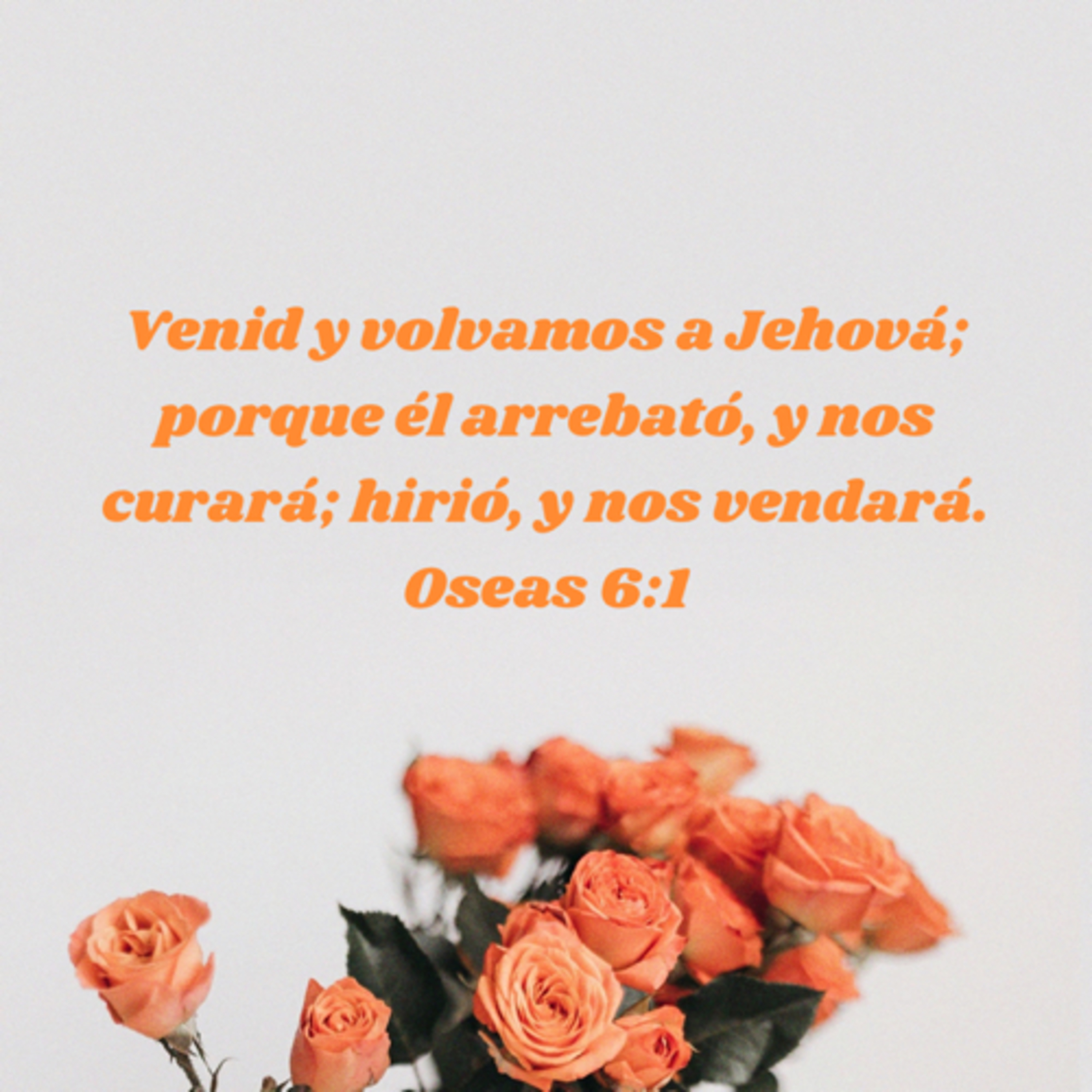 Devocional oseas 6:1-3 episode artwork