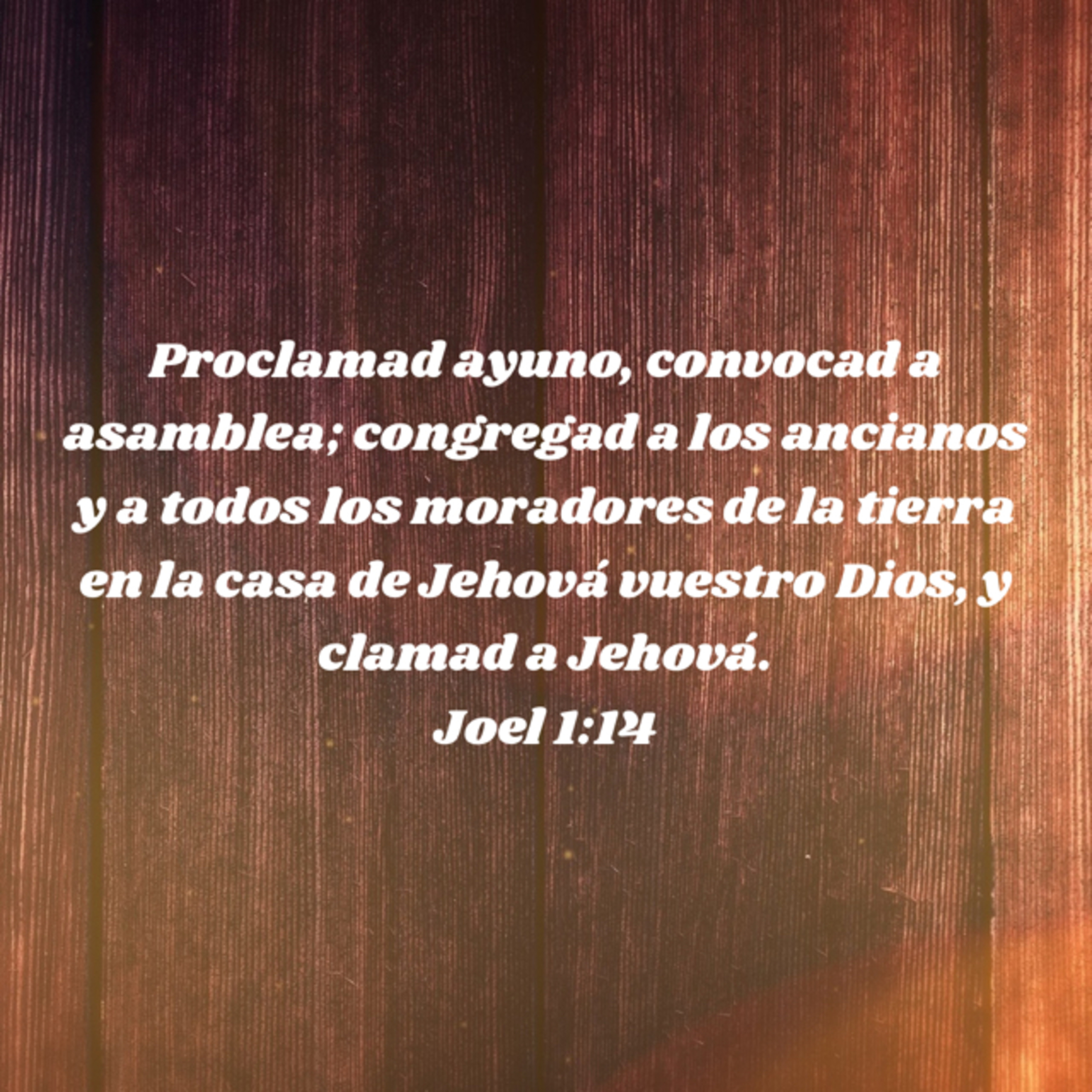 Devocional de Joel capitulo 1 episode artwork