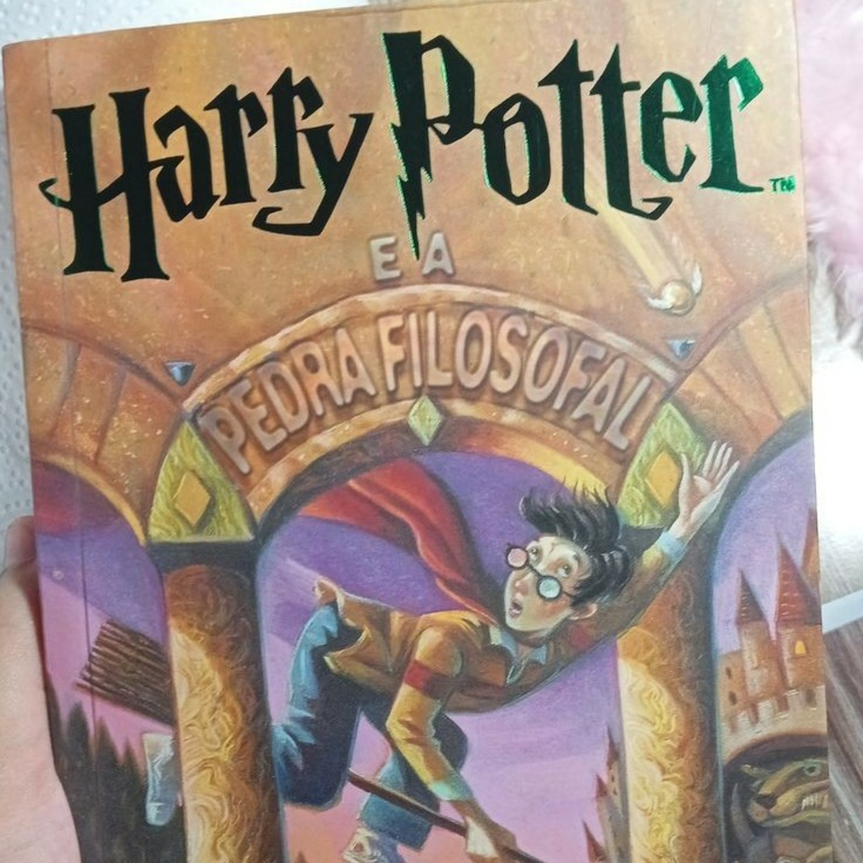 Audiobook: Harry Potter e a pedra filosofal capítulo 1 parte 3