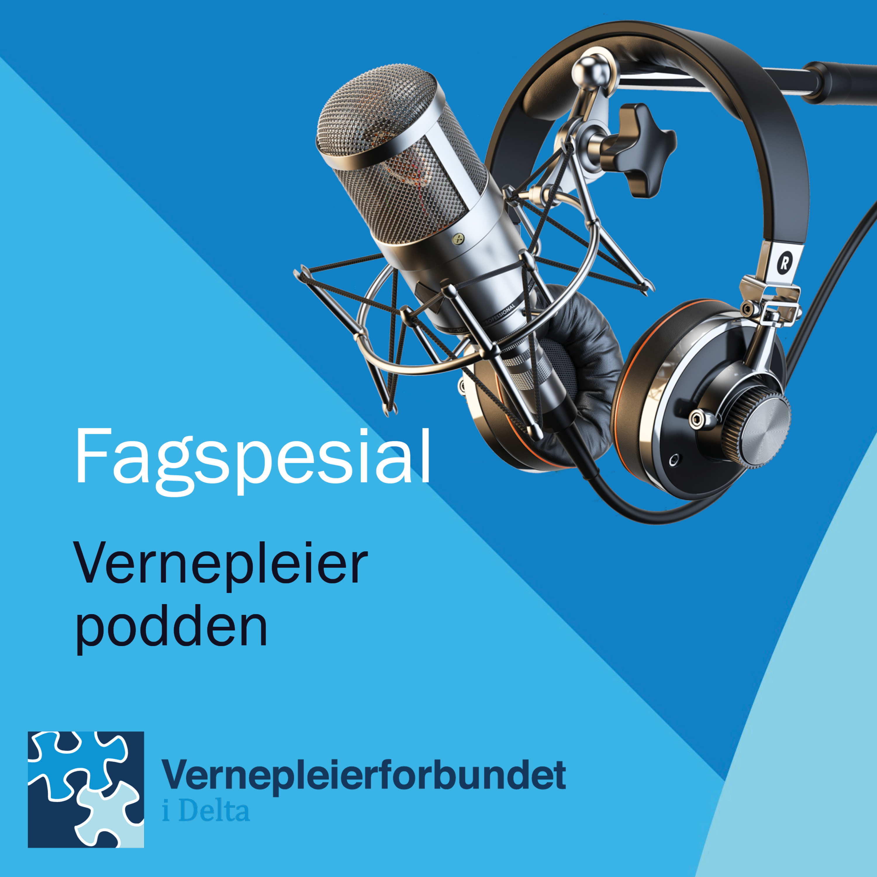 Vernepleierpodden