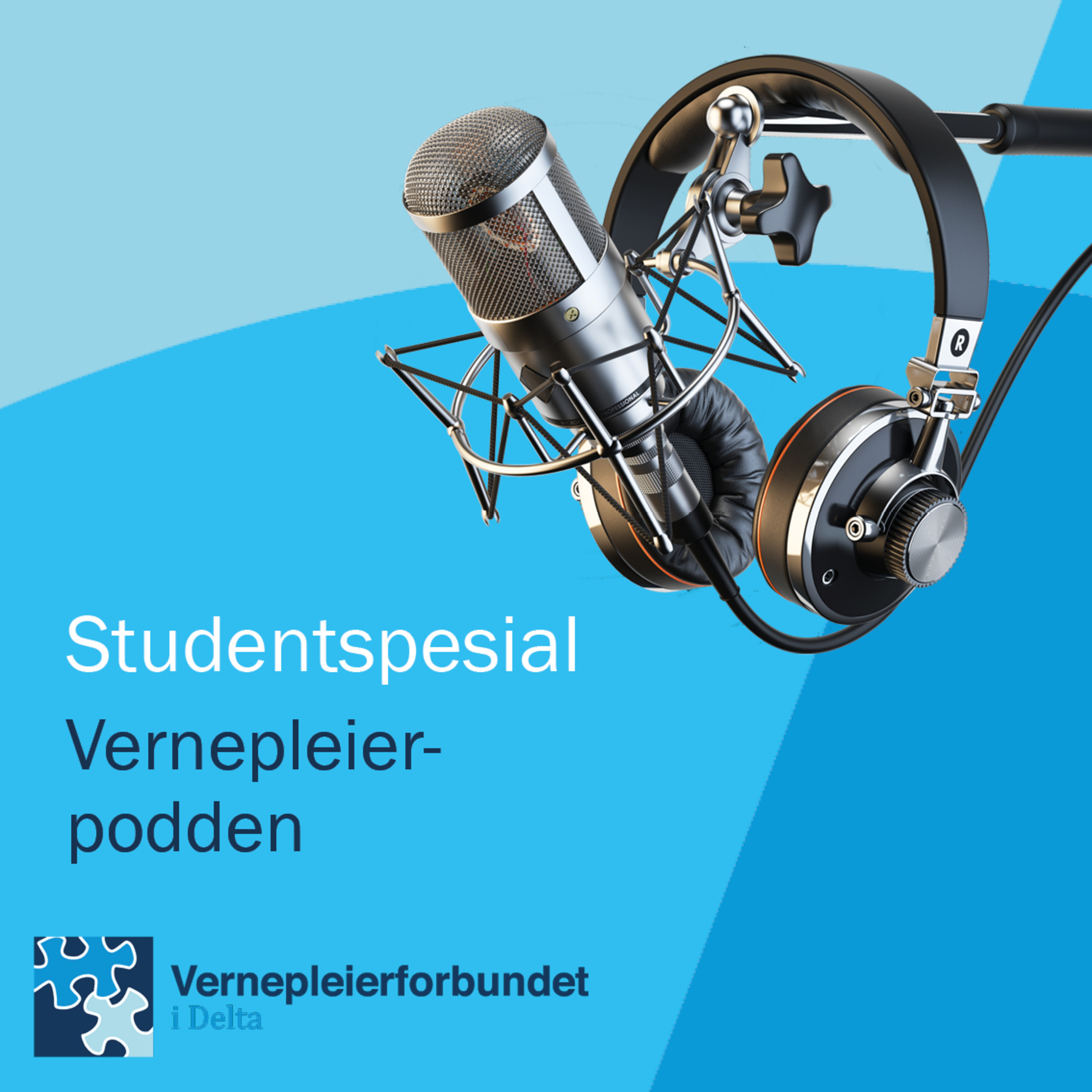 Vernepleierpodden
