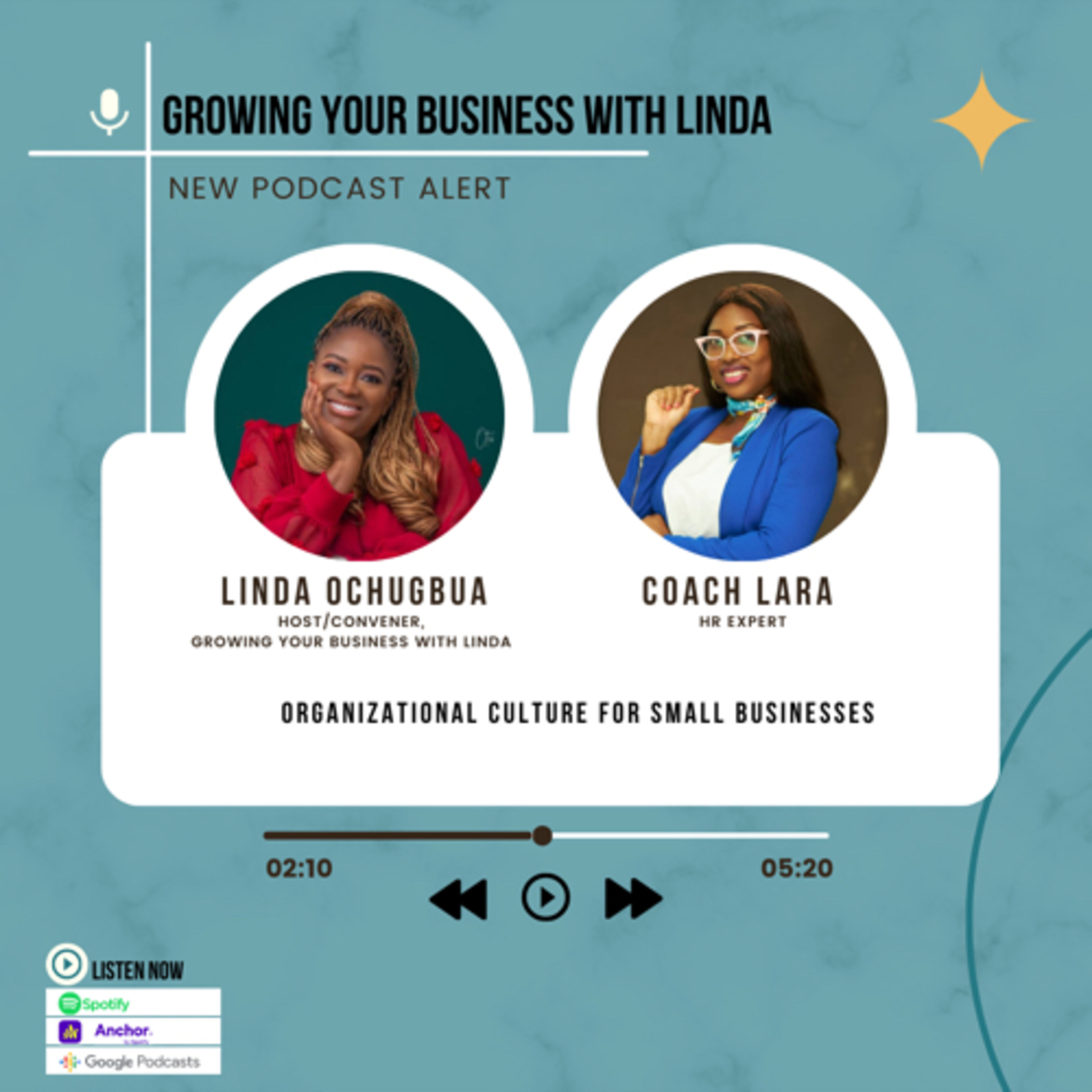 Organizational Culture for SME: Second talk with Coach Lara episode artwork