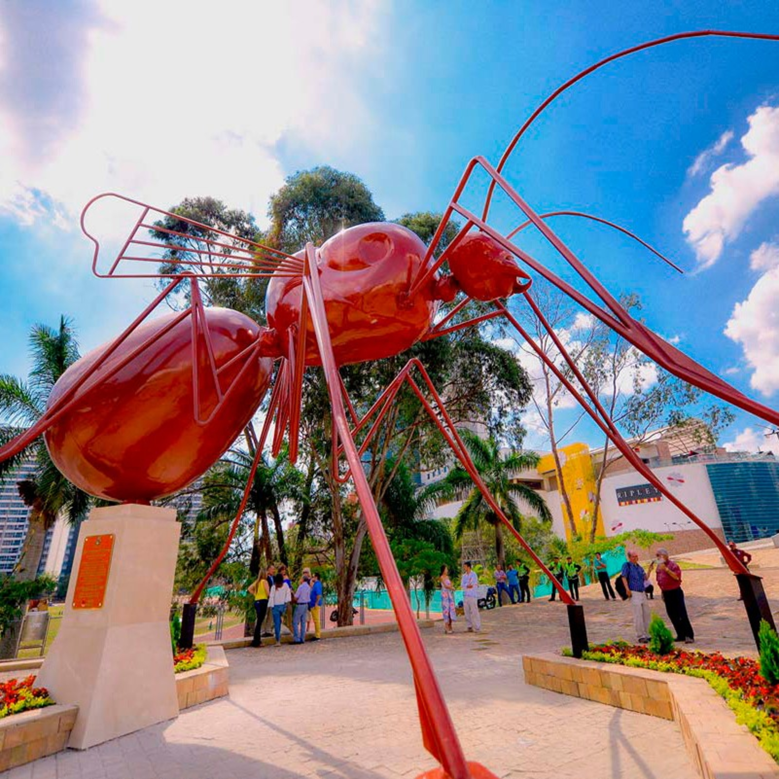 Bucaramanga. Una ciudad de parques.