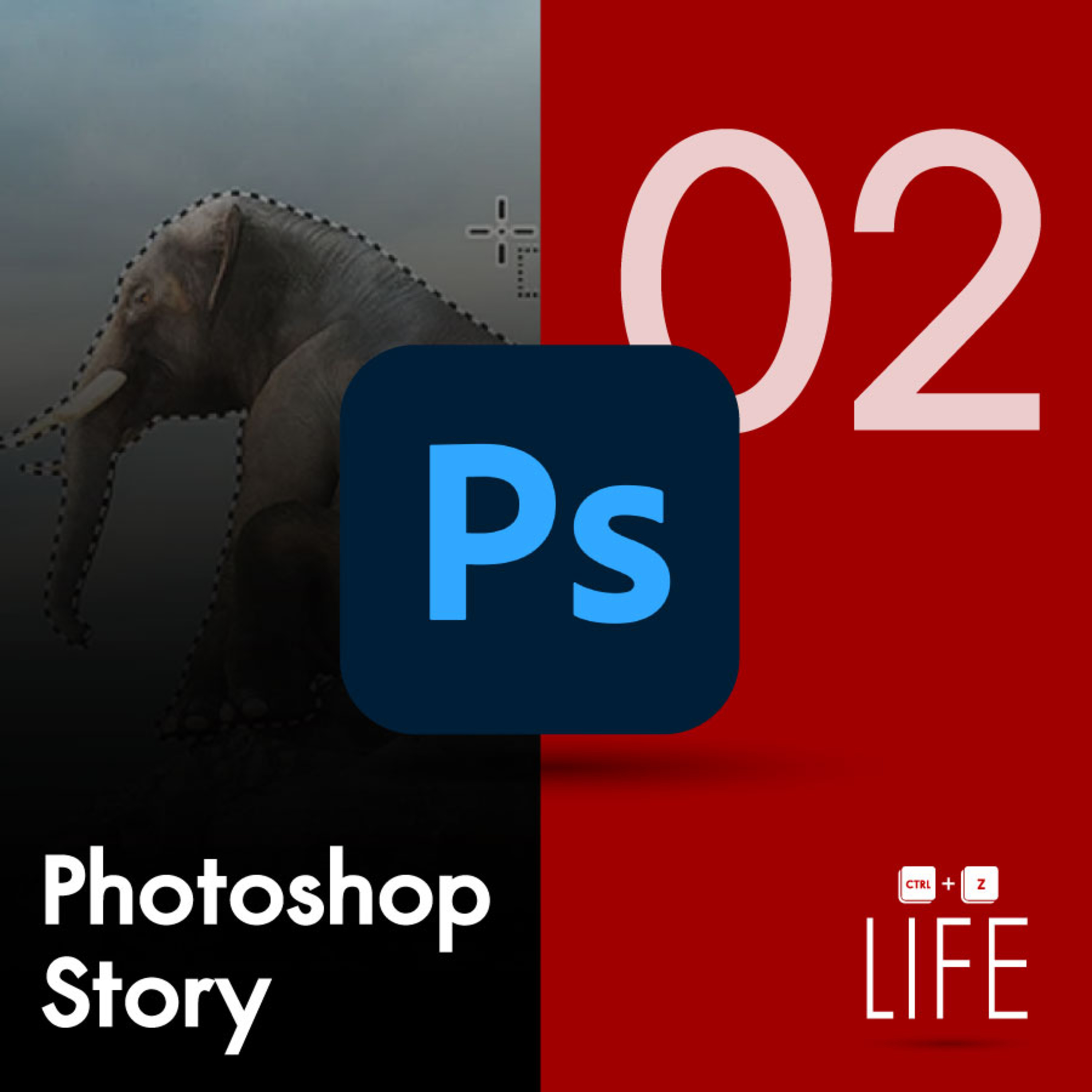 EP 02 : PHOTOSHOP HISTORY