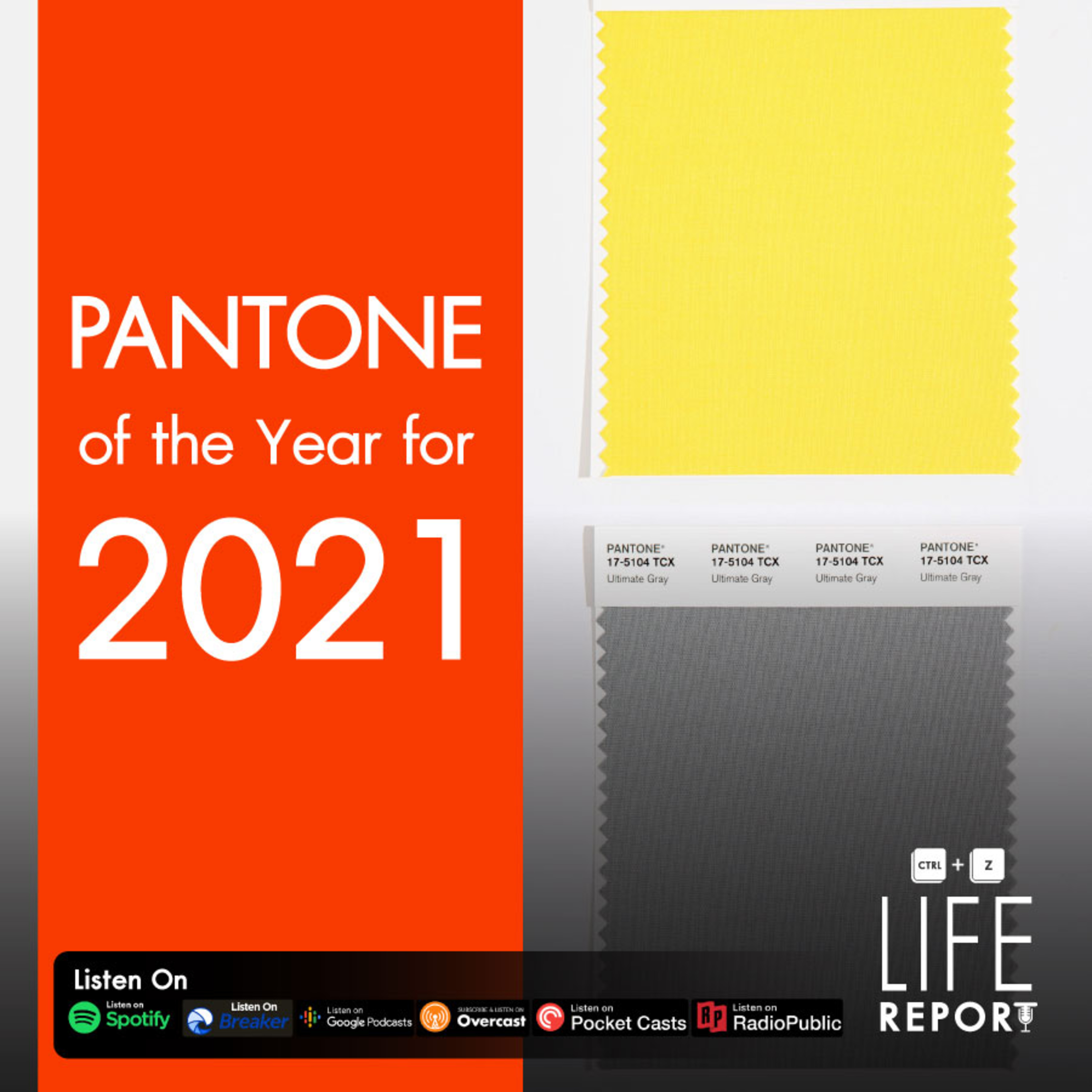 REPORT 06 : Pantone of the year for 2021